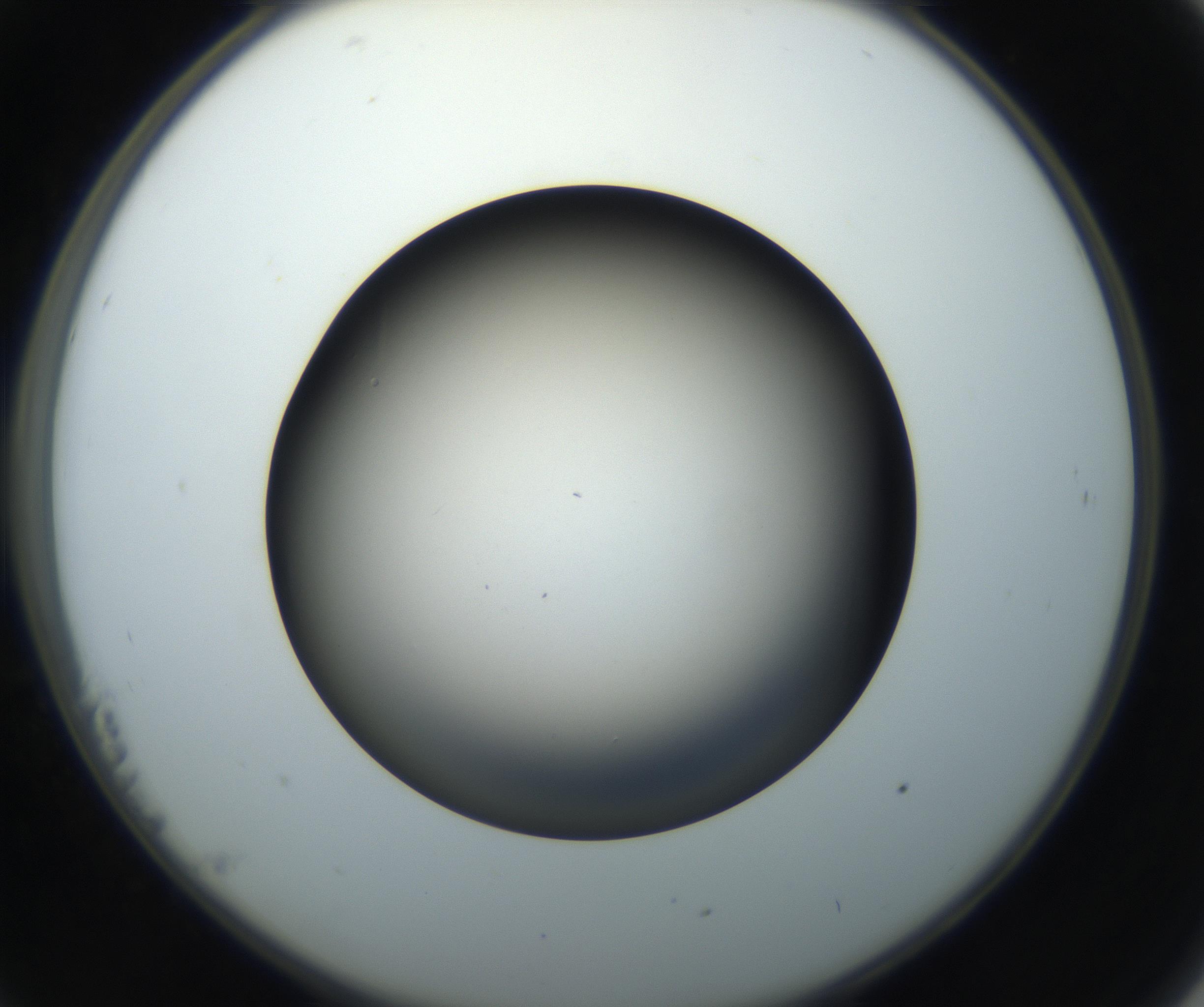 RI01_03_000_0212_Proj1_Clon1_MC_0000MC102718_004_160921_11_02_02_00_99_002_001_RAI.jpg