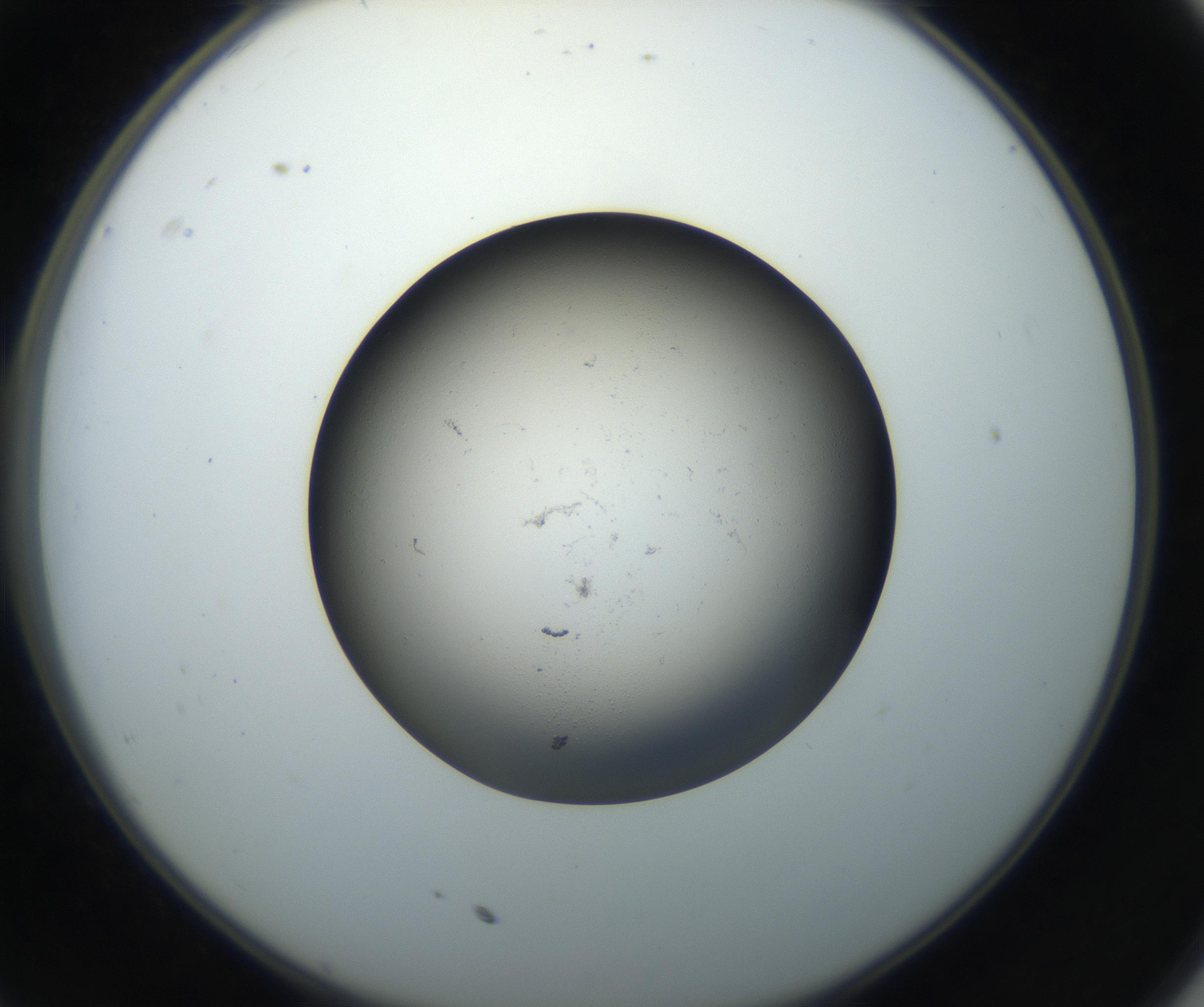 RI01_03_000_0212_Proj1_Clon1_MC_0000MC102718_004_160921_11_03_02_00_99_002_001_RAI.jpg