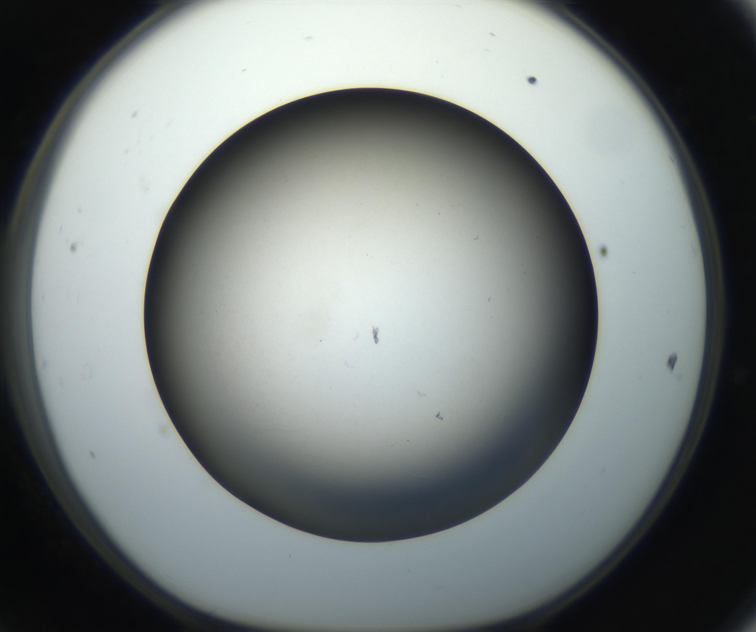 RI01_03_000_0212_Proj1_Clon1_MC_0000MC102718_004_160921_11_04_01_00_99_002_001_RAI.jpg