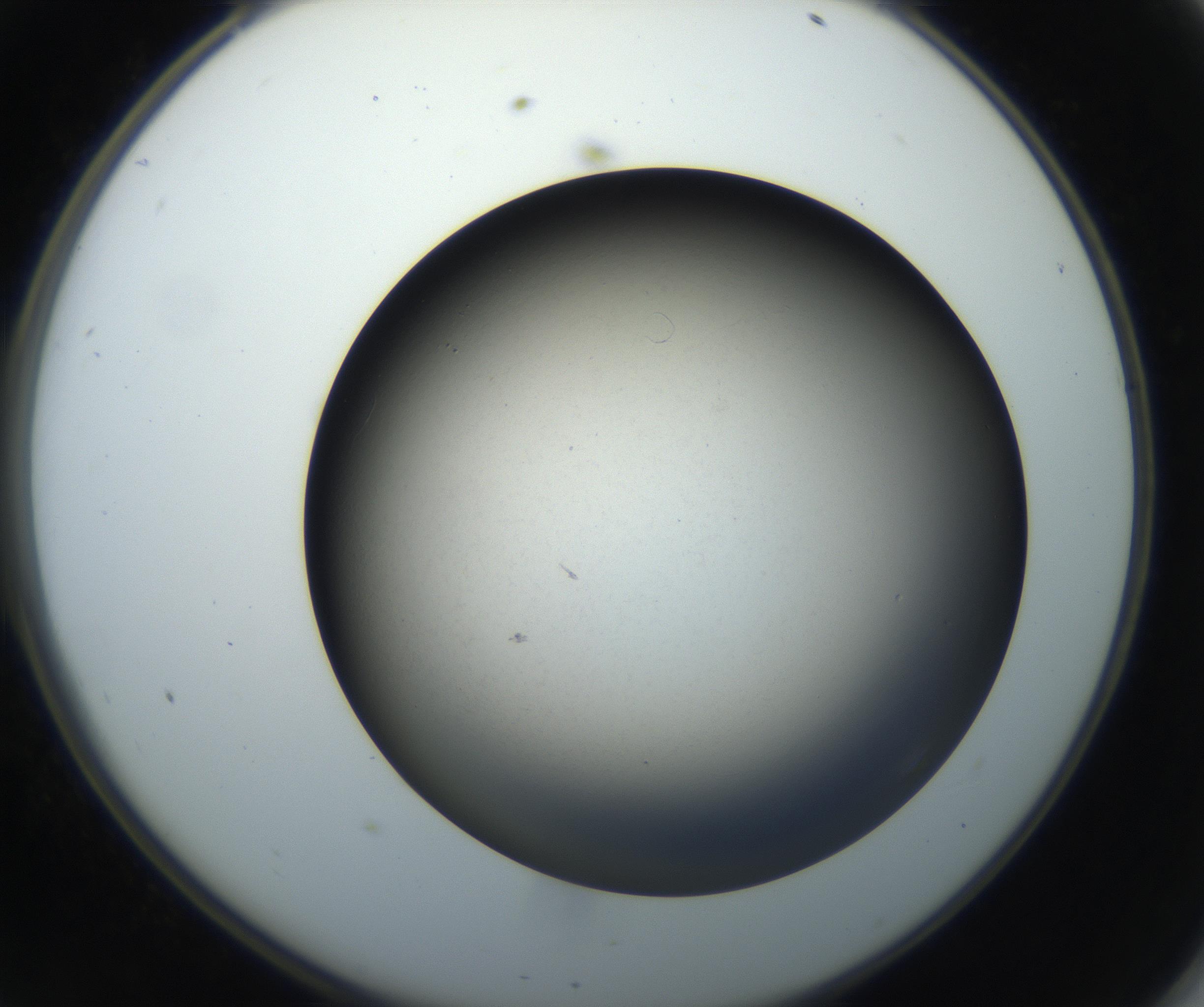 RI01_03_000_0212_Proj1_Clon1_MC_0000MC102718_004_160921_11_04_02_00_99_002_001_RAI.jpg