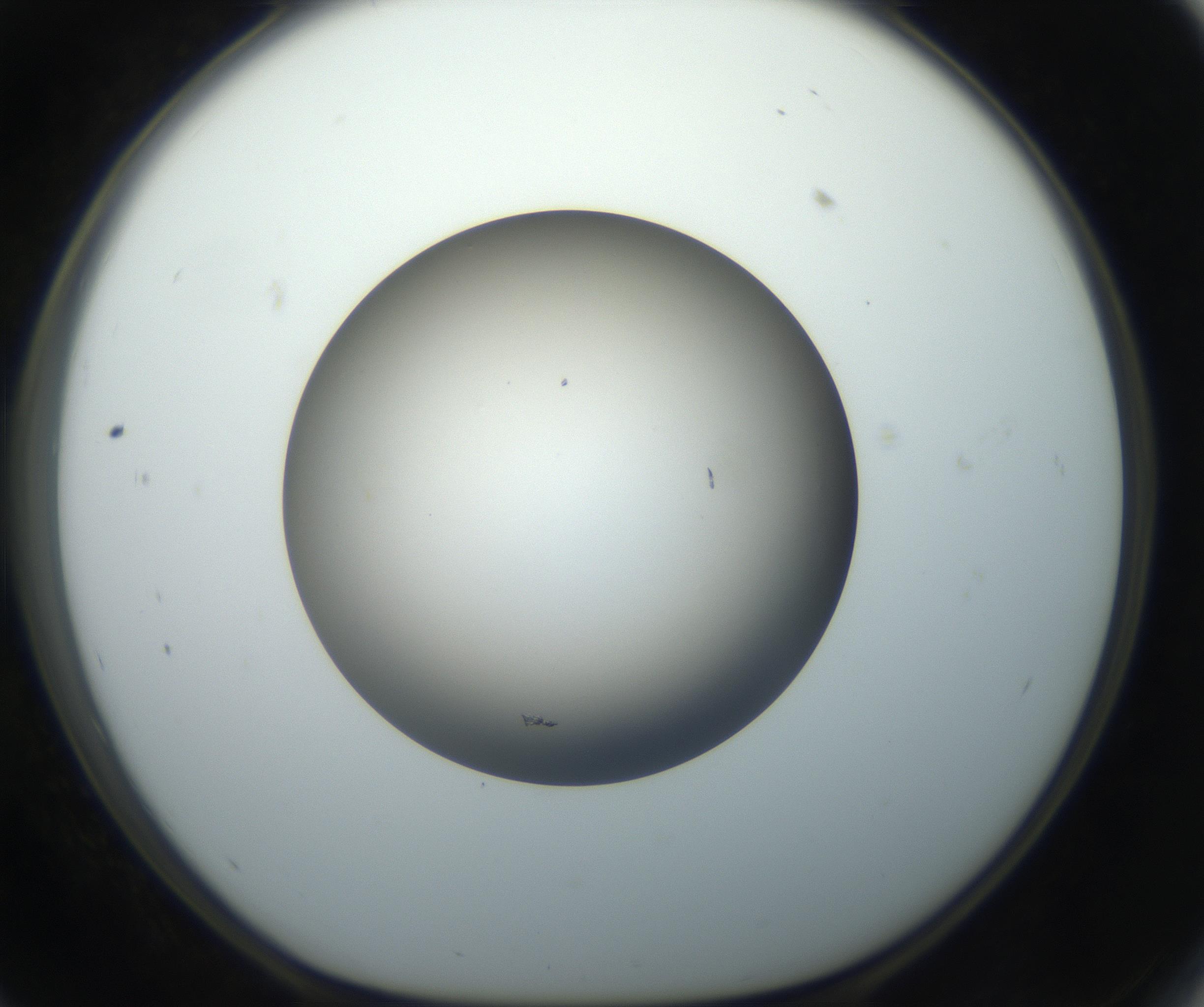 RI01_03_000_0212_Proj1_Clon1_MC_0000MC102718_004_160921_11_05_01_00_99_002_001_RAI.jpg