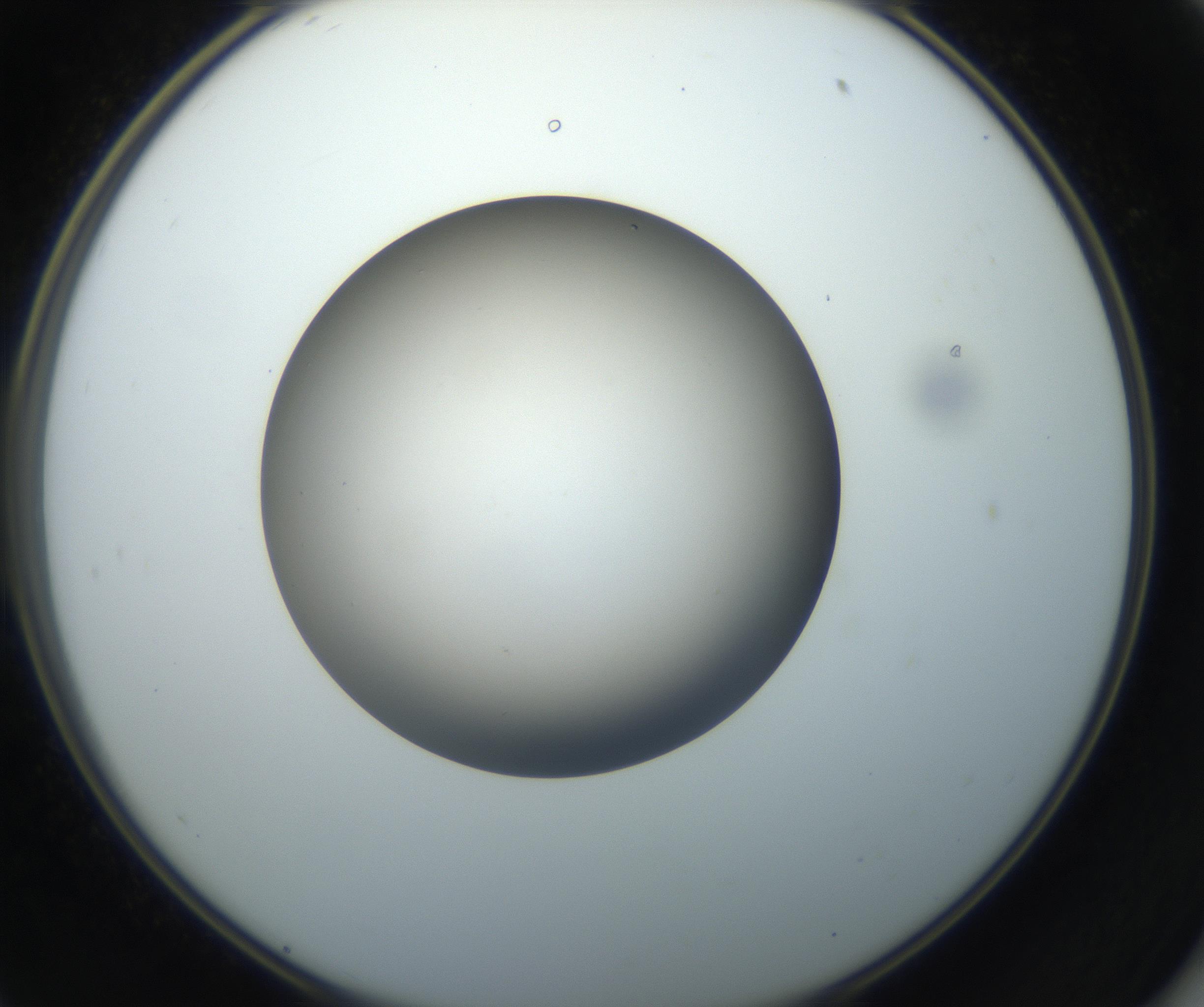 RI01_03_000_0212_Proj1_Clon1_MC_0000MC102718_004_160921_11_05_02_00_99_002_001_RAI.jpg