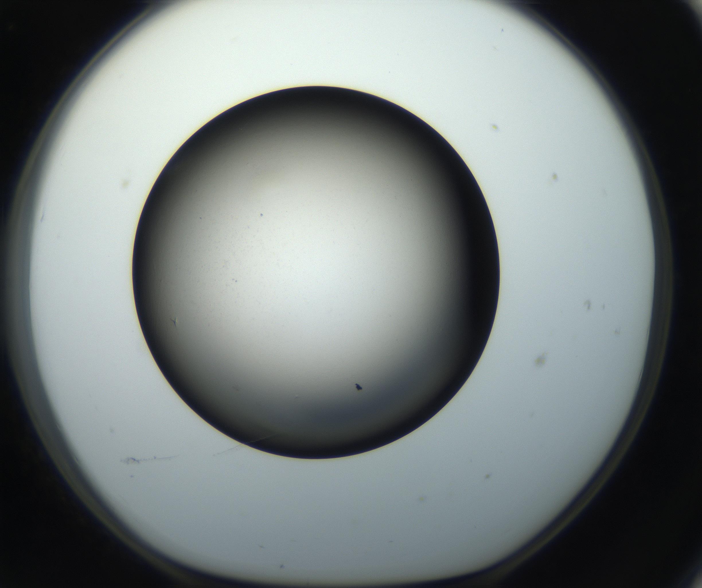 RI01_03_000_0212_Proj1_Clon1_MC_0000MC102718_004_160921_11_06_01_00_99_002_001_RAI.jpg