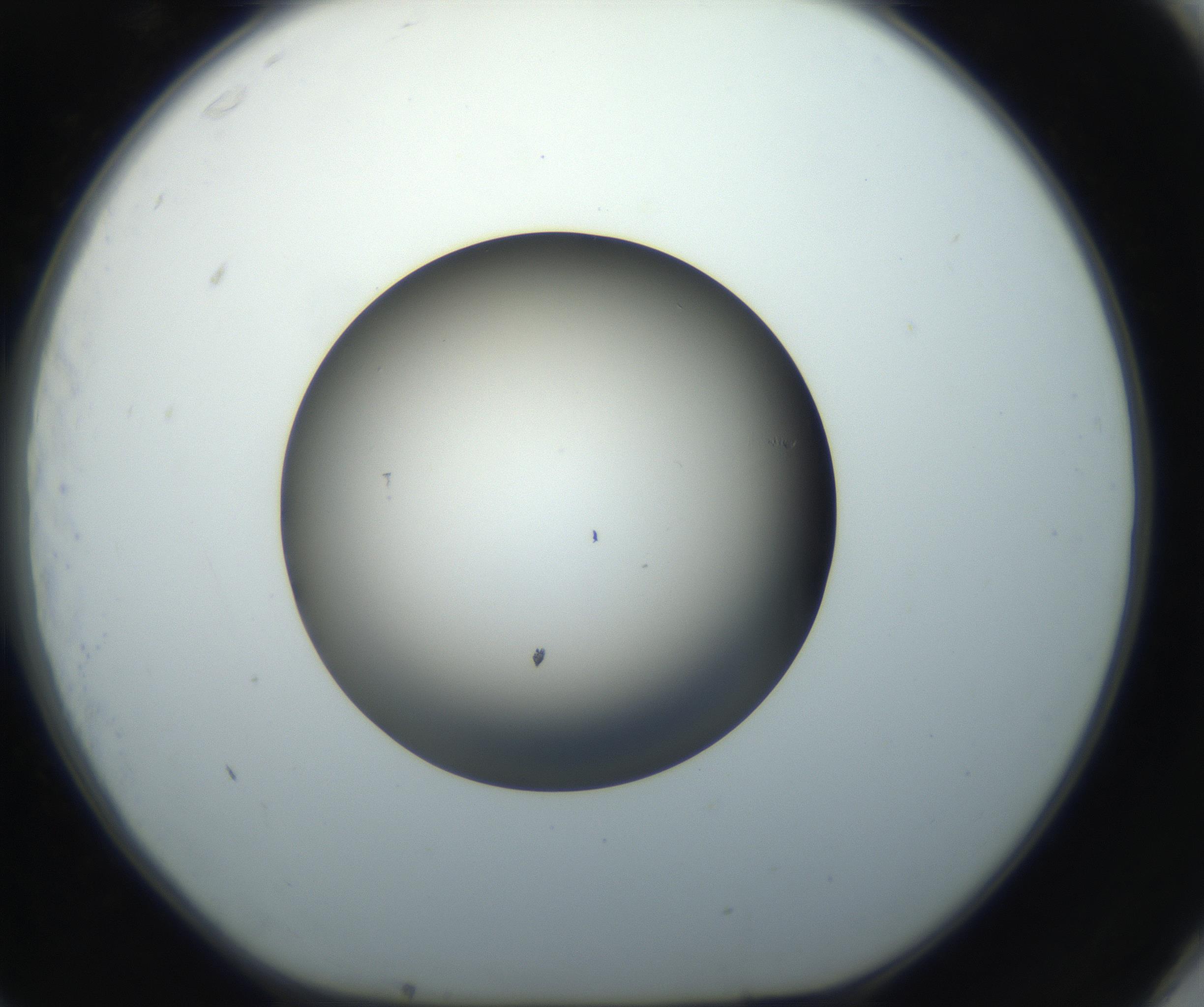 RI01_03_000_0212_Proj1_Clon1_MC_0000MC102718_004_160921_11_07_01_00_99_002_001_RAI.jpg