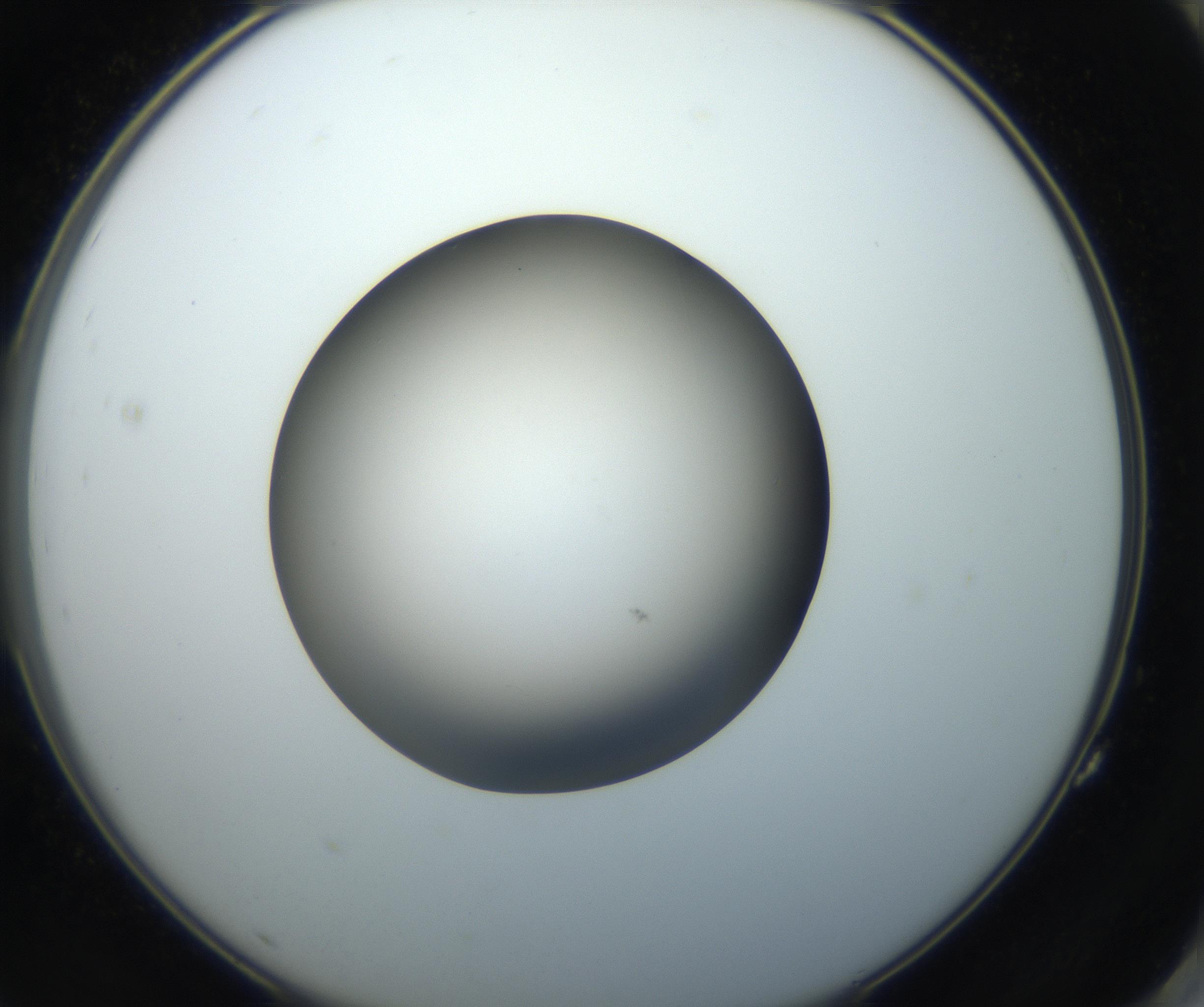RI01_03_000_0212_Proj1_Clon1_MC_0000MC102718_004_160921_11_07_02_00_99_002_001_RAI.jpg