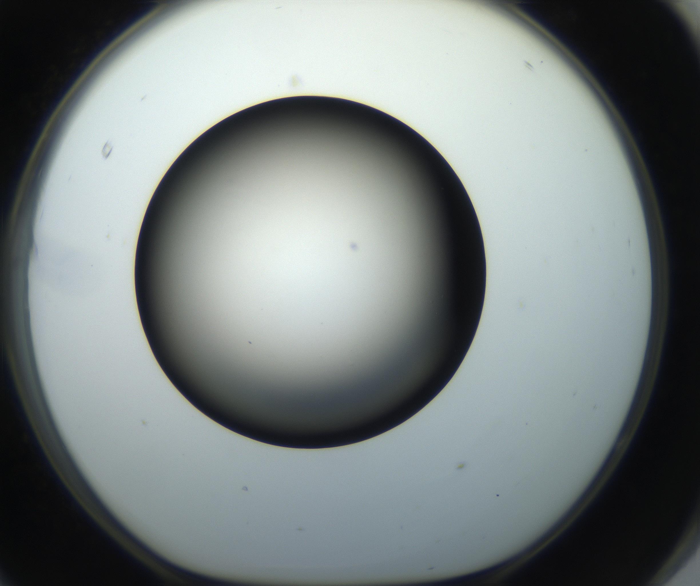 RI01_03_000_0212_Proj1_Clon1_MC_0000MC102718_004_160921_11_08_01_00_99_002_001_RAI.jpg