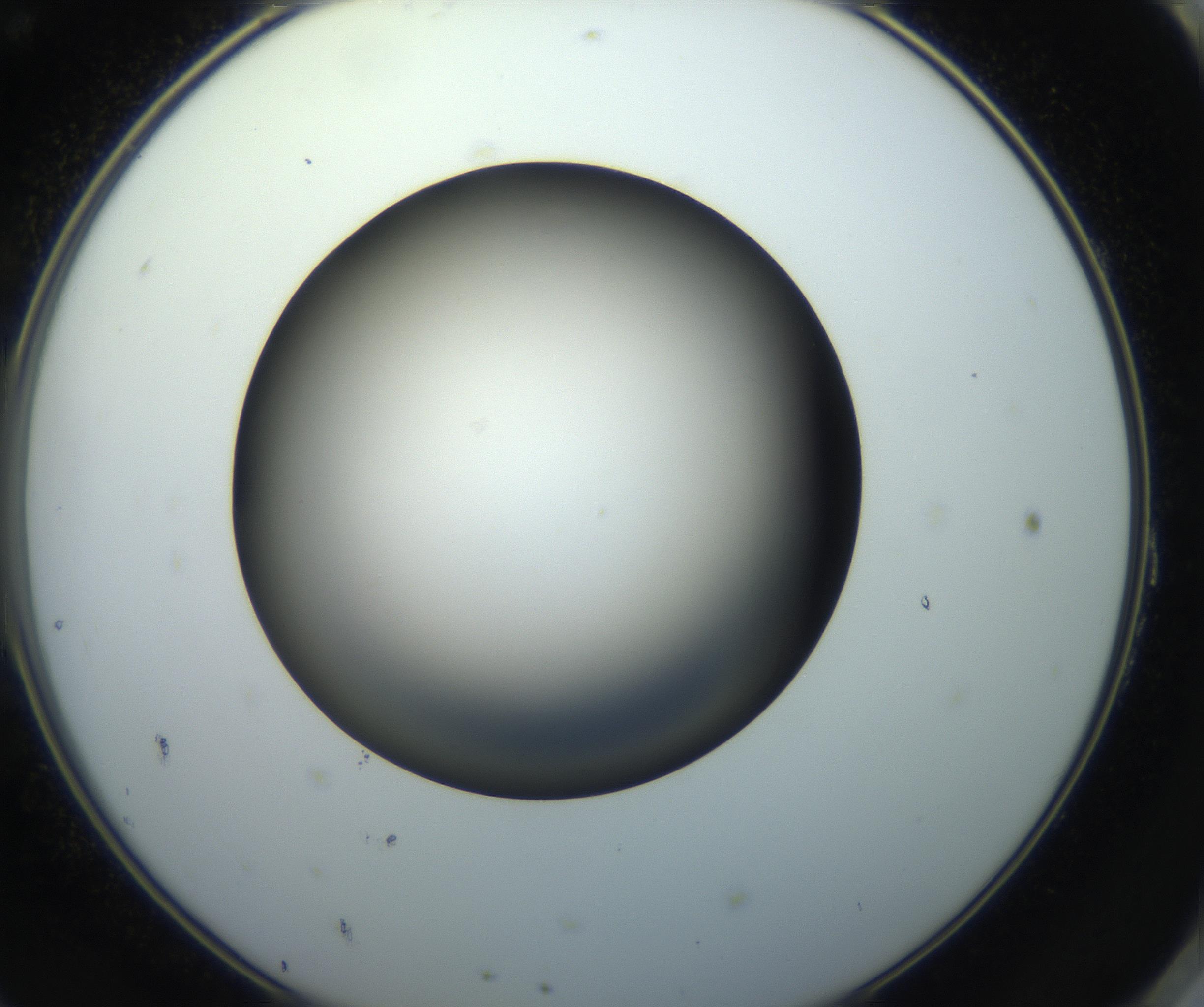 RI01_03_000_0212_Proj1_Clon1_MC_0000MC102718_004_160921_11_08_02_00_99_002_001_RAI.jpg