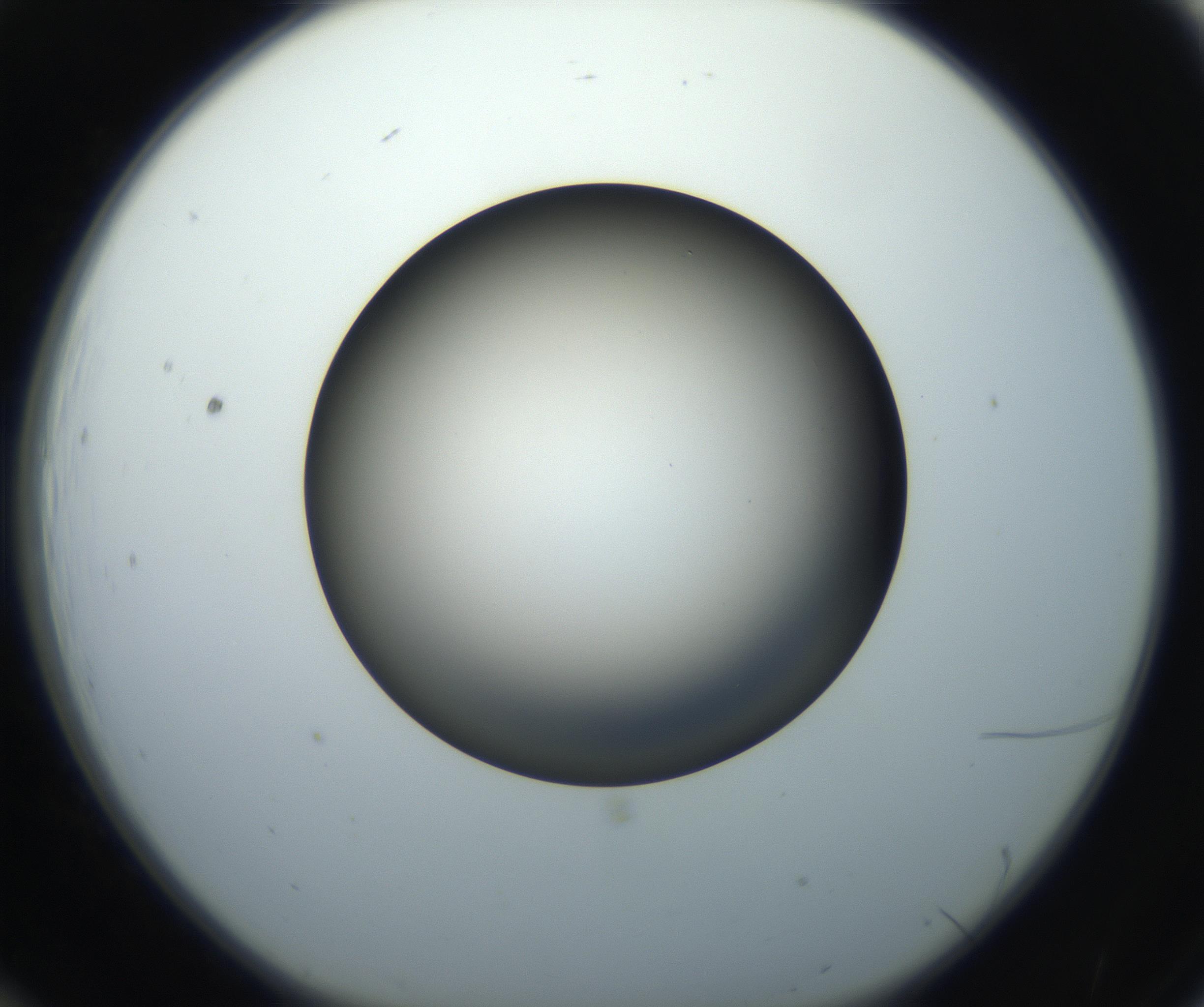 RI01_03_000_0212_Proj1_Clon1_MC_0000MC102718_004_160921_12_01_01_00_99_002_001_RAI.jpg