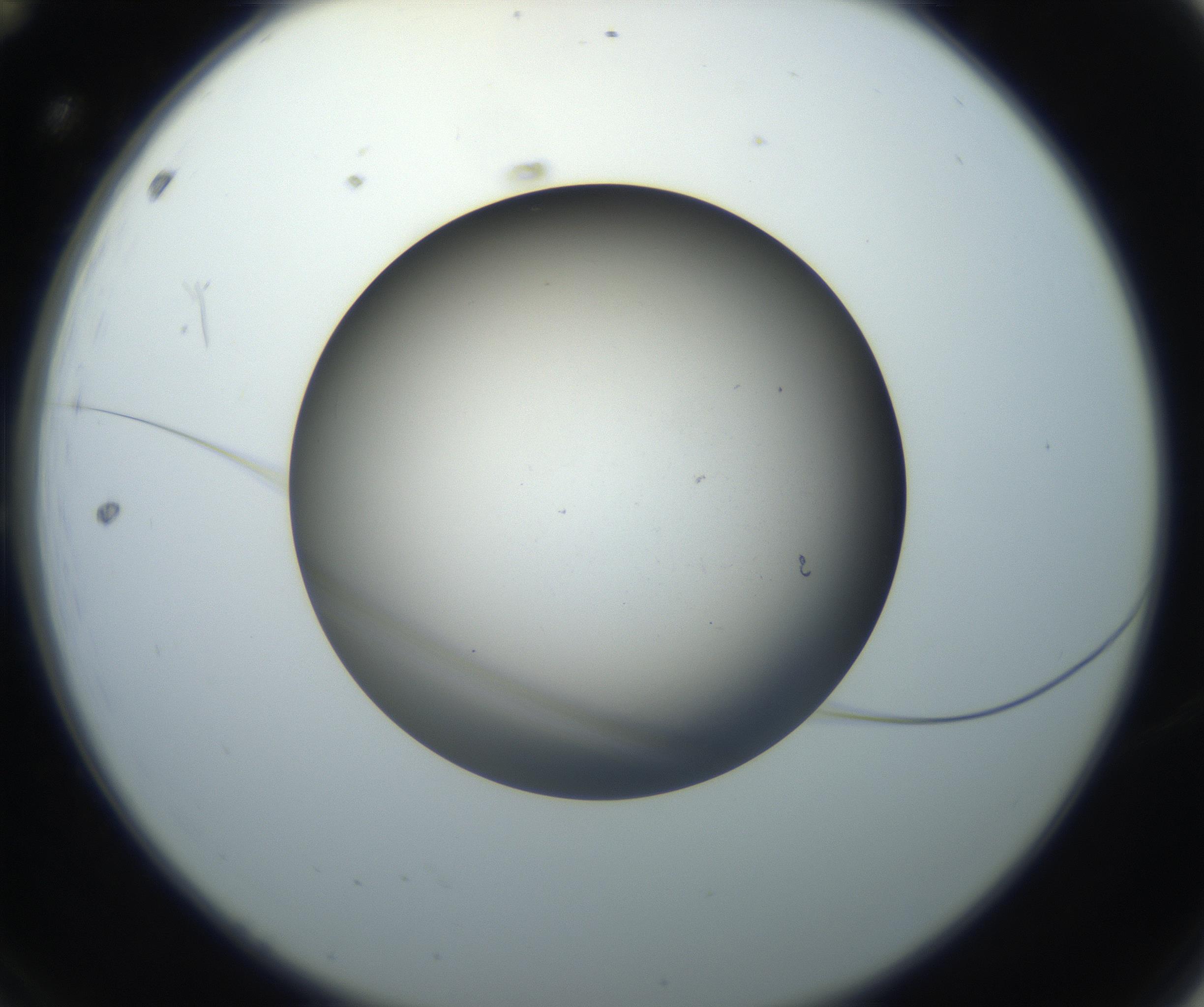 RI01_03_000_0212_Proj1_Clon1_MC_0000MC102718_004_160921_12_01_02_00_99_002_001_RAI.jpg