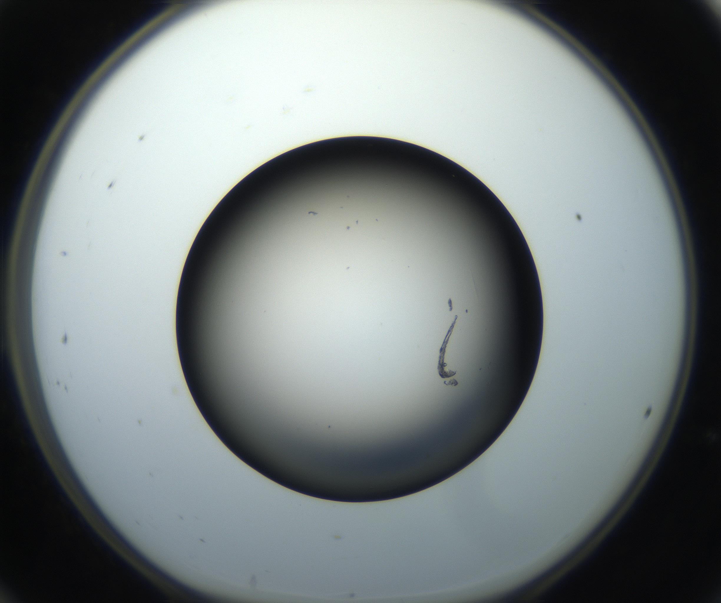 RI01_03_000_0212_Proj1_Clon1_MC_0000MC102718_004_160921_12_02_01_00_99_002_001_RAI.jpg