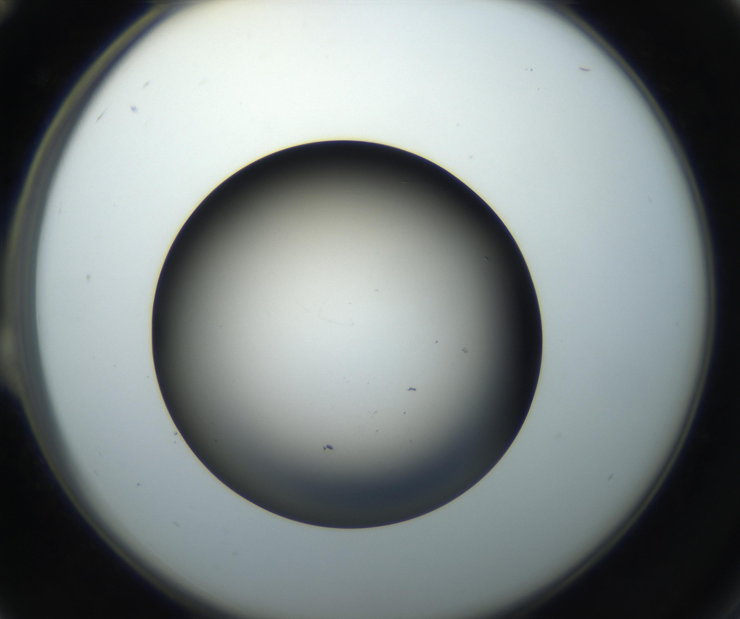 RI01_03_000_0212_Proj1_Clon1_MC_0000MC102718_004_160921_12_02_02_00_99_002_001_RAI.jpg