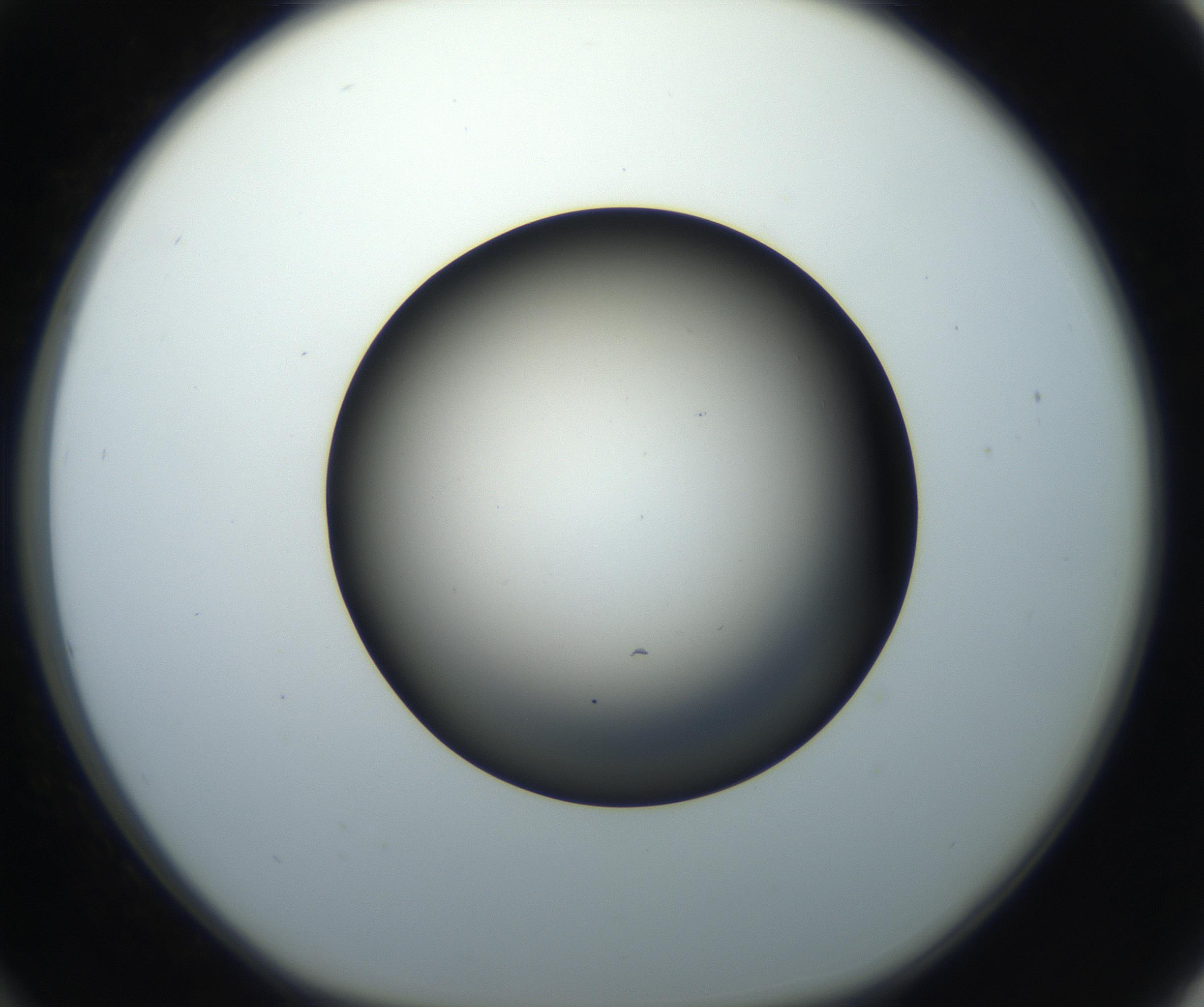 RI01_03_000_0212_Proj1_Clon1_MC_0000MC102718_004_160921_12_03_01_00_99_002_001_RAI.jpg