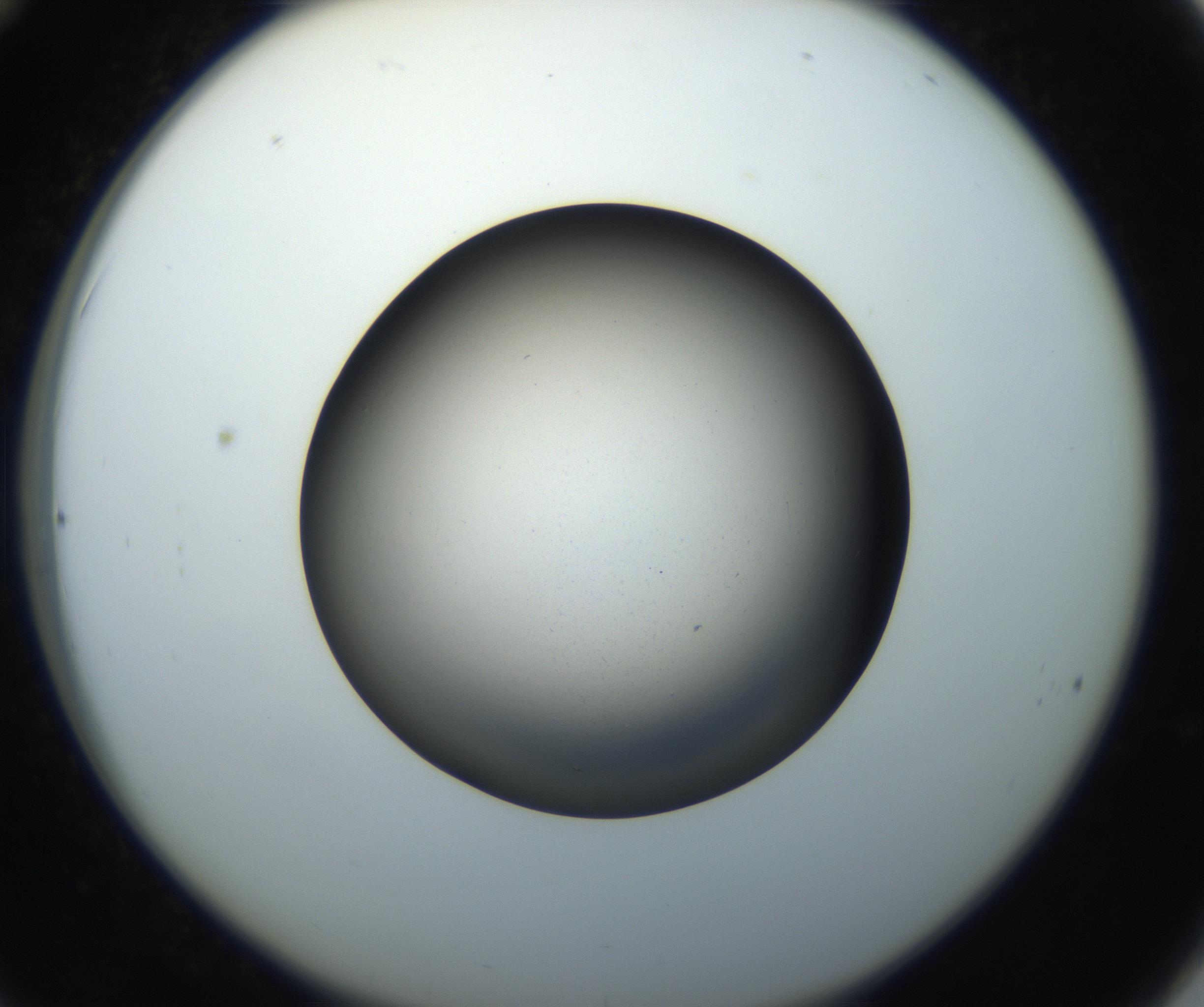 RI01_03_000_0212_Proj1_Clon1_MC_0000MC102718_004_160921_12_03_02_00_99_002_001_RAI.jpg