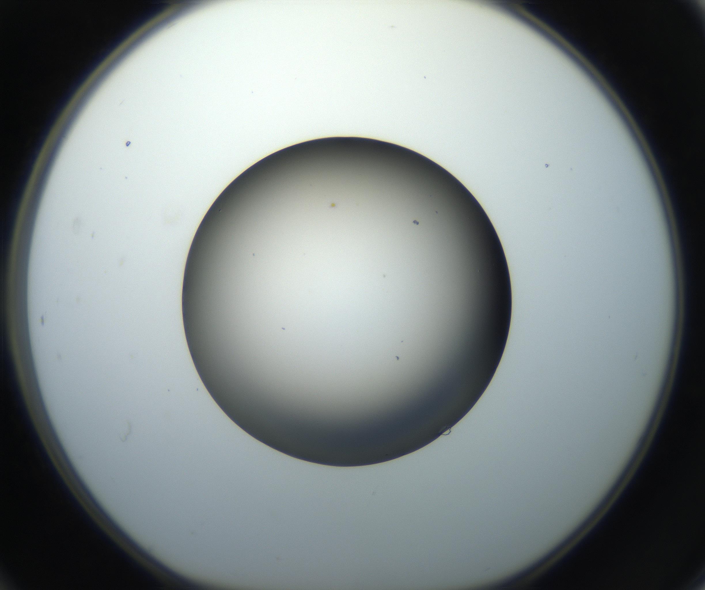 RI01_03_000_0212_Proj1_Clon1_MC_0000MC102718_004_160921_12_04_01_00_99_002_001_RAI.jpg