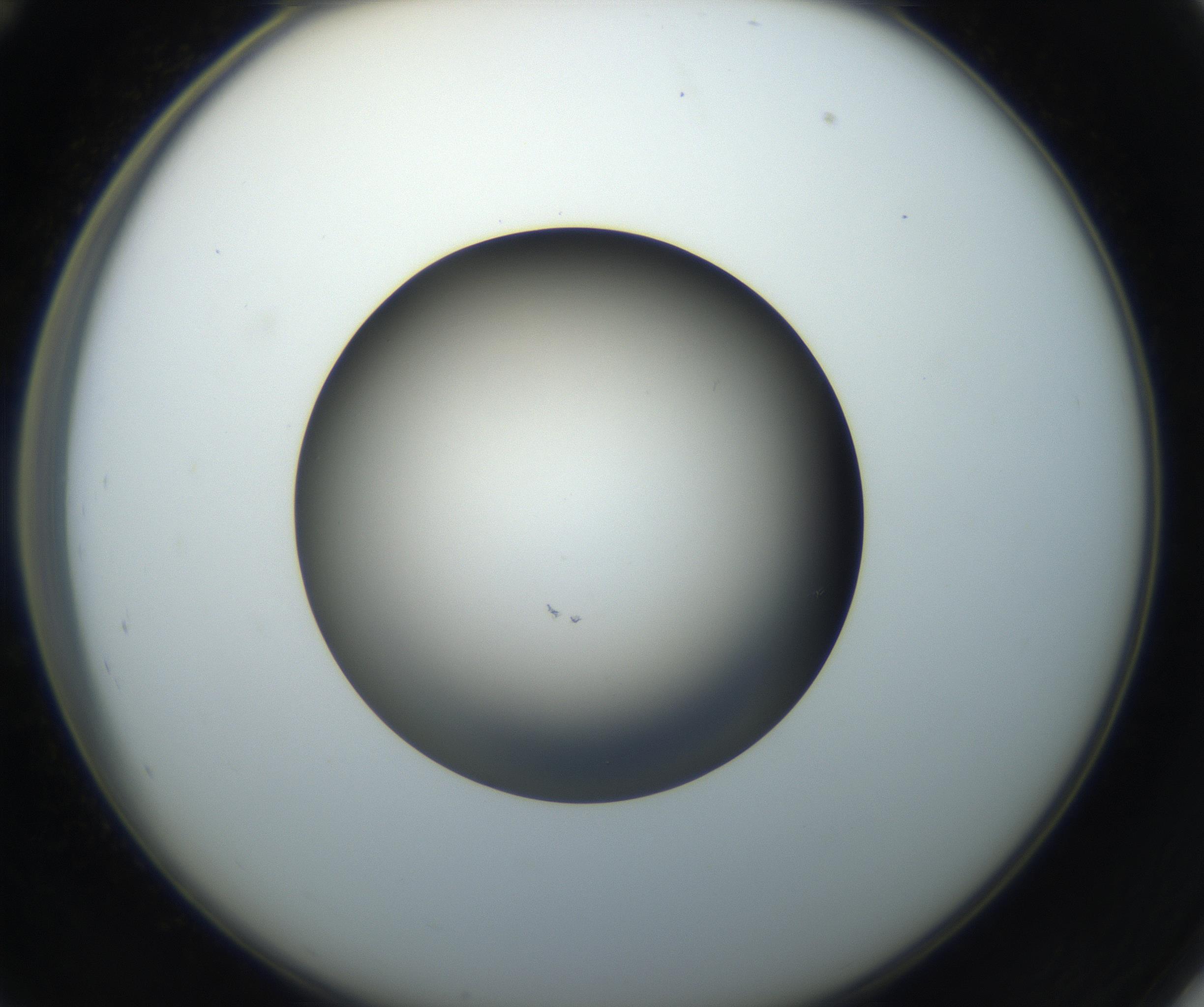 RI01_03_000_0212_Proj1_Clon1_MC_0000MC102718_004_160921_12_04_02_00_99_002_001_RAI.jpg