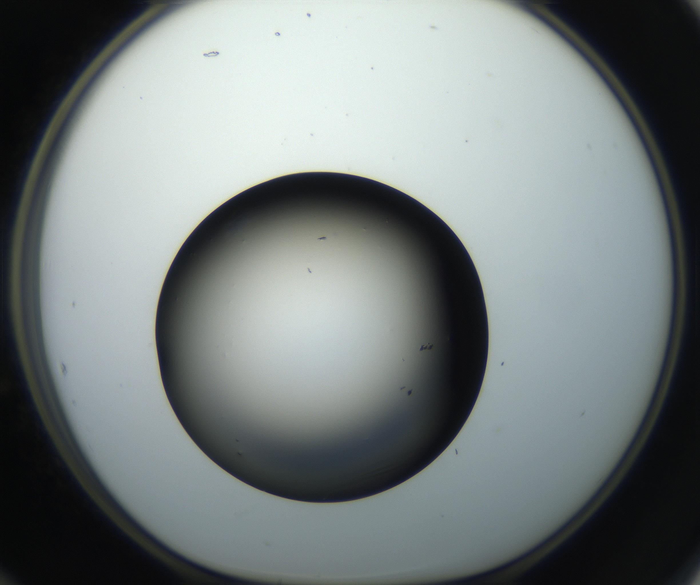 RI01_03_000_0212_Proj1_Clon1_MC_0000MC102718_004_160921_12_05_01_00_99_002_001_RAI.jpg