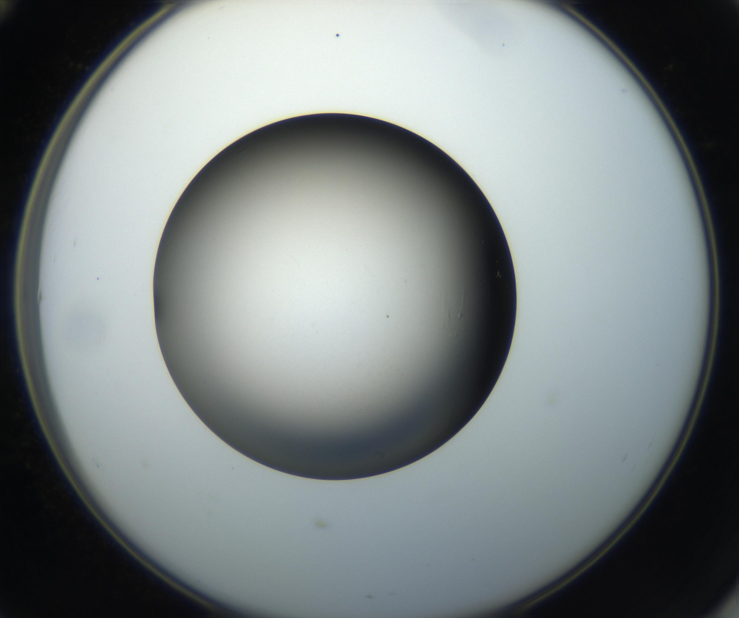 RI01_03_000_0212_Proj1_Clon1_MC_0000MC102718_004_160921_12_05_02_00_99_002_001_RAI.jpg