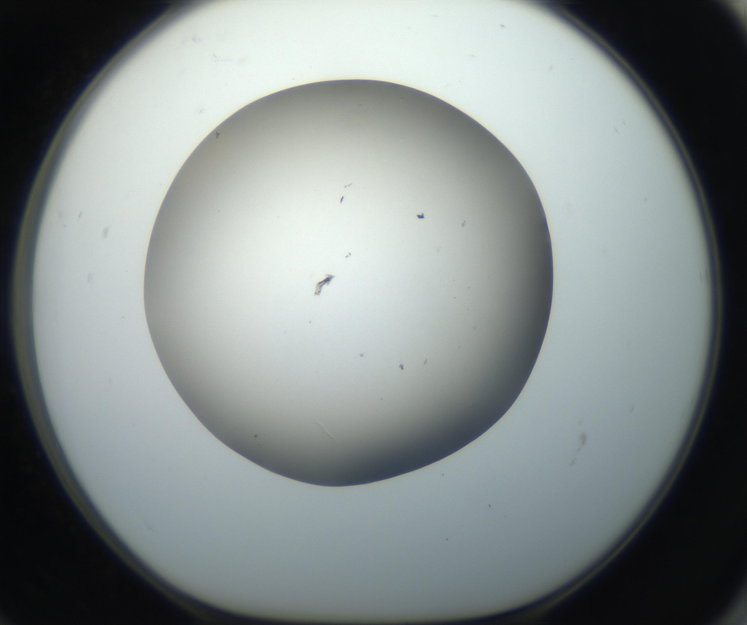 RI01_03_000_0212_Proj1_Clon1_MC_0000MC102718_004_160921_12_06_01_00_99_002_001_RAI.jpg