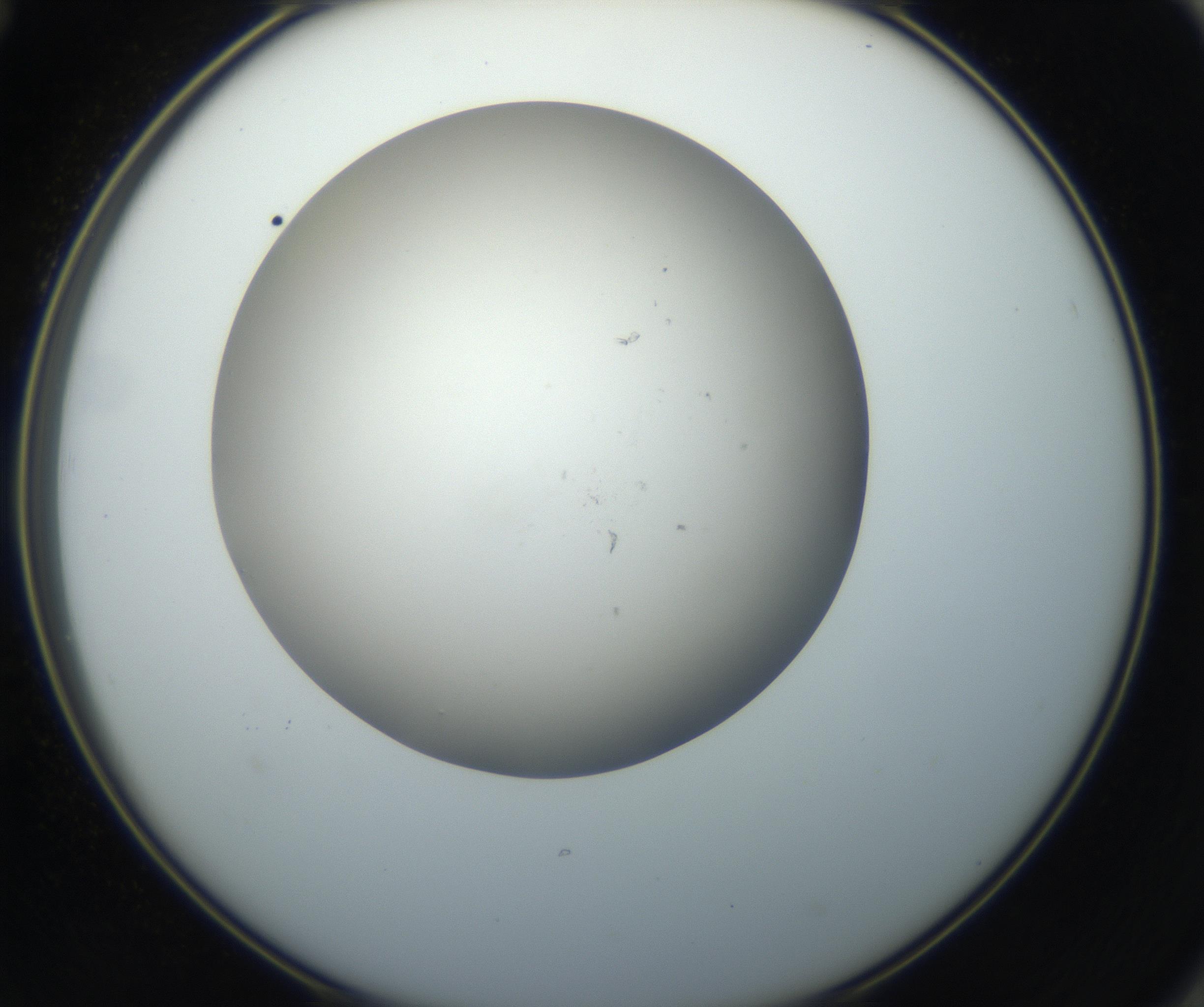 RI01_03_000_0212_Proj1_Clon1_MC_0000MC102718_004_160921_12_06_02_00_99_002_001_RAI.jpg