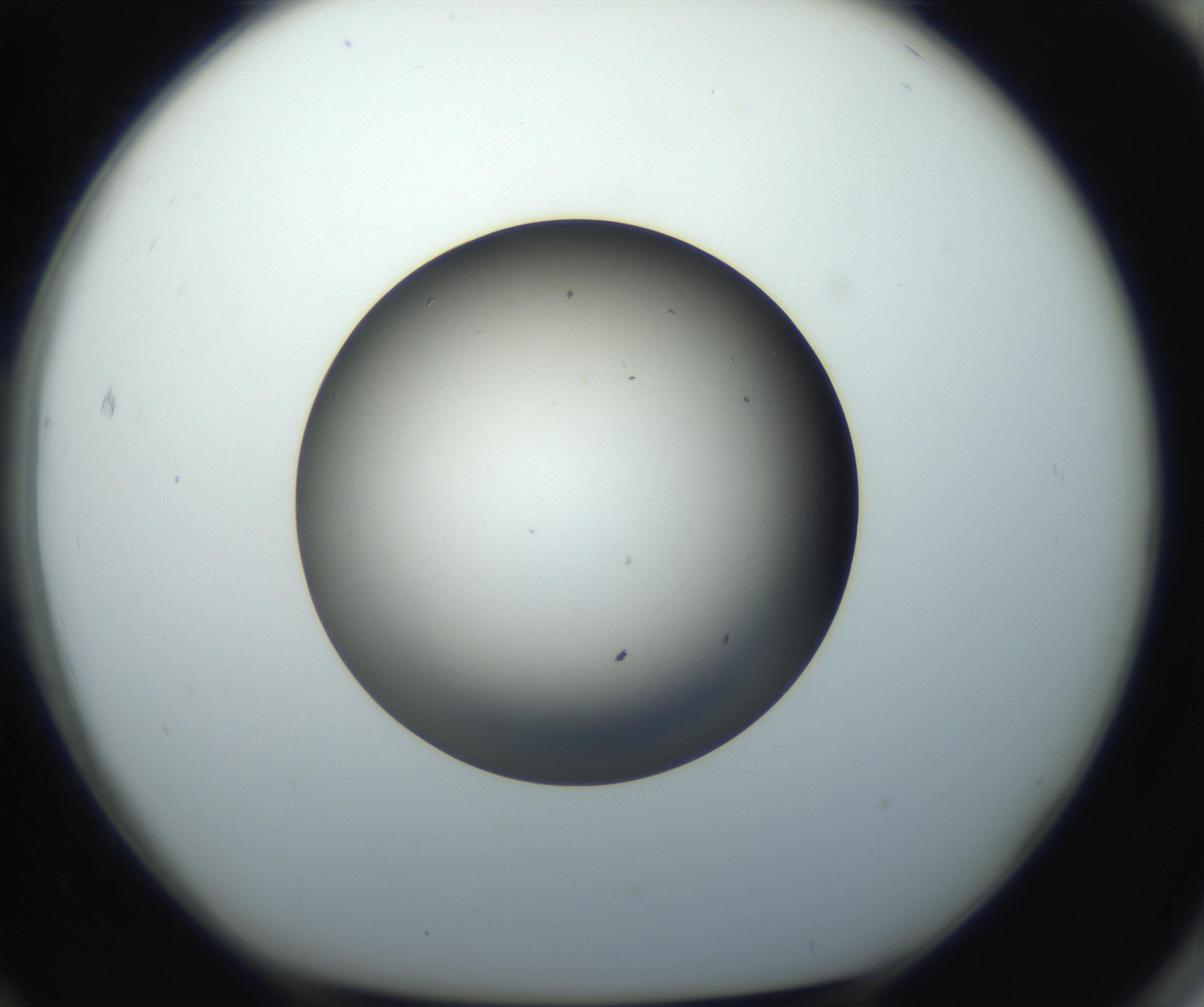 RI01_03_000_0212_Proj1_Clon1_MC_0000MC102718_004_160921_12_07_01_00_99_002_001_RAI.jpg