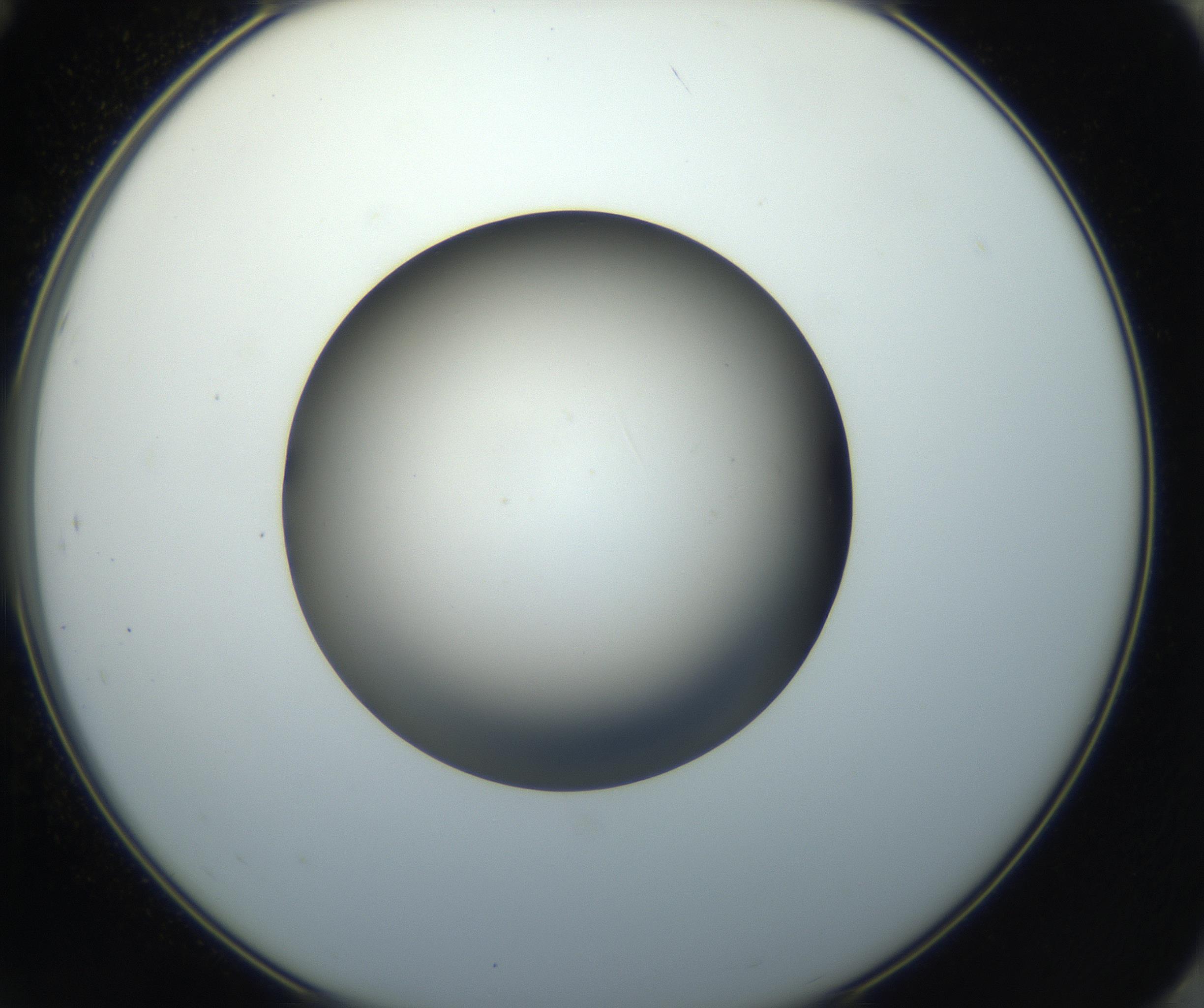 RI01_03_000_0212_Proj1_Clon1_MC_0000MC102718_004_160921_12_07_02_00_99_002_001_RAI.jpg