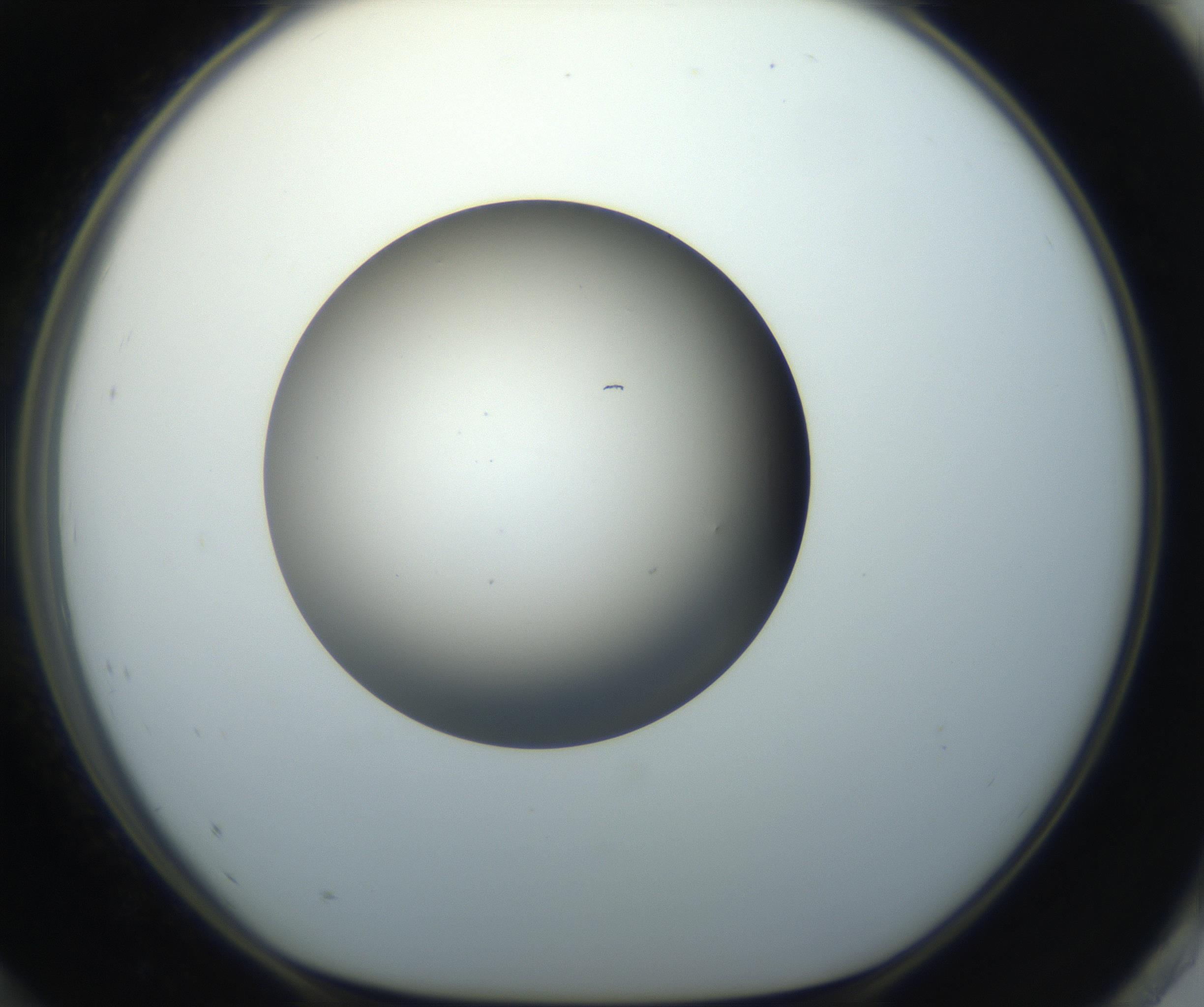 RI01_03_000_0212_Proj1_Clon1_MC_0000MC102718_004_160921_12_08_01_00_99_002_001_RAI.jpg