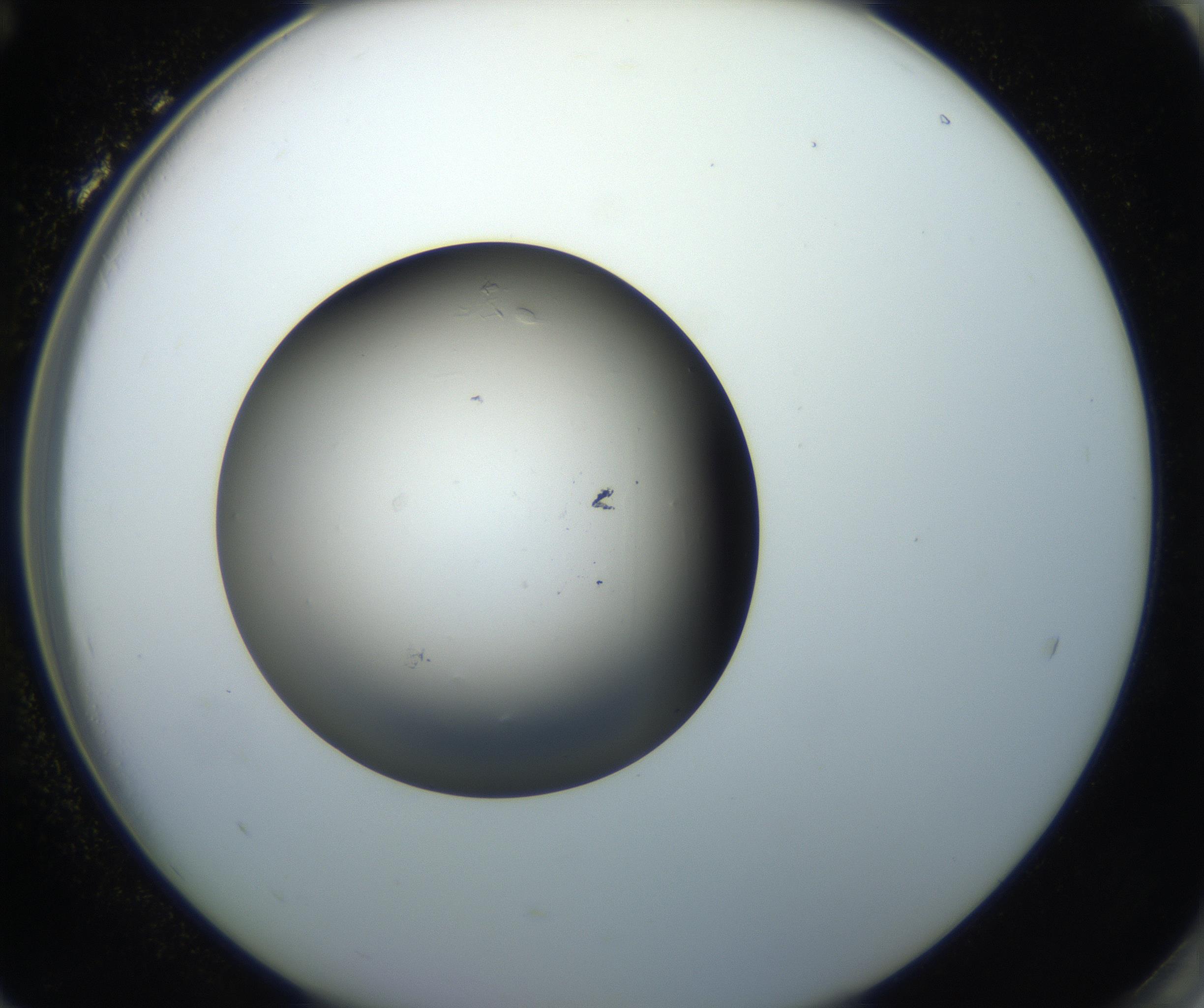 RI01_03_000_0212_Proj1_Clon1_MC_0000MC102718_004_160921_12_08_02_00_99_002_001_RAI.jpg