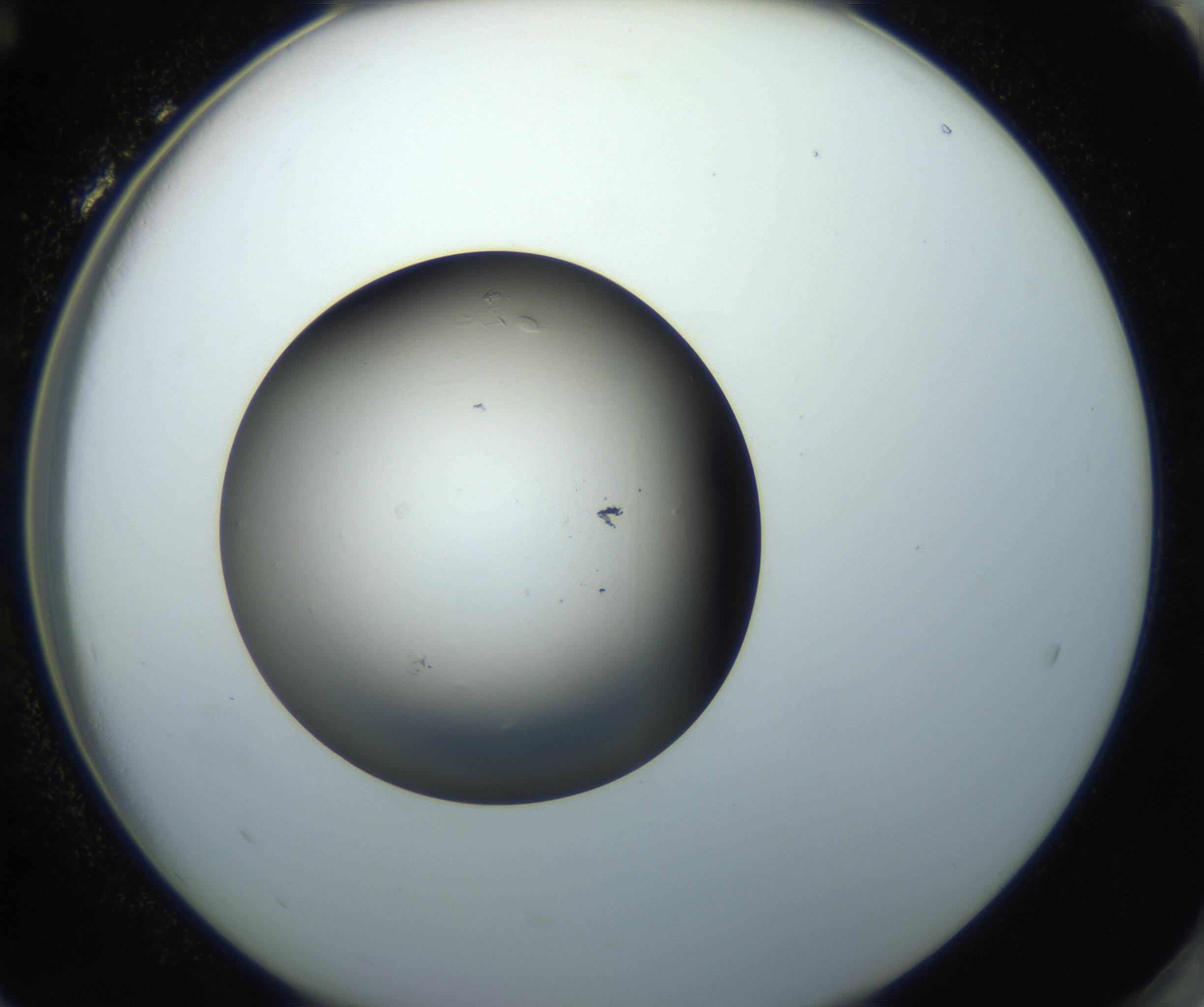 RI01_03_000_0212_Proj1_Clon1_MC_0000MC102718_006_160927_12_08_02_00_99_002_001_RAI.jpg