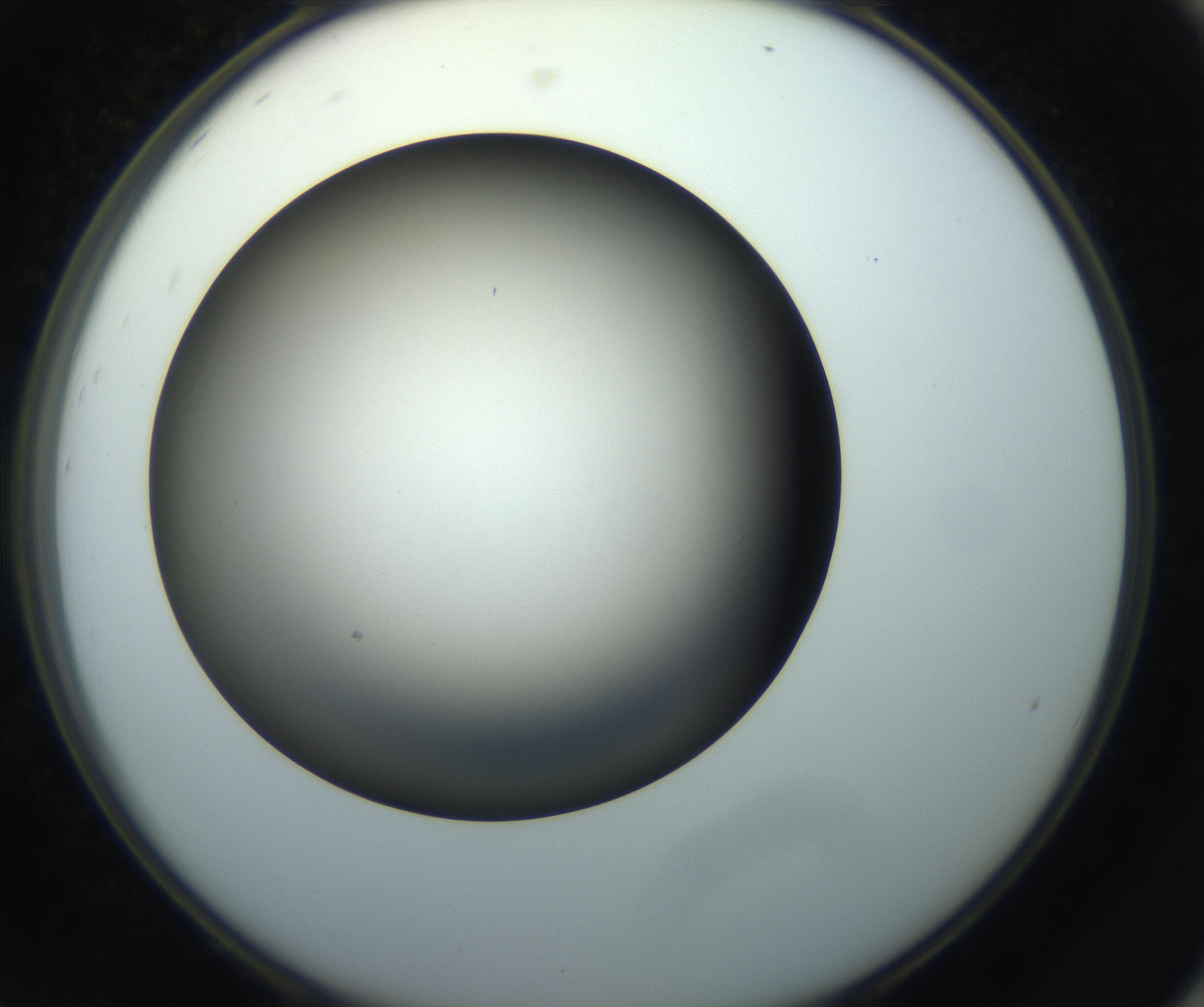 RI01_03_000_0212_Proj1_Clon1_MC_0000MC102718_007_161004_08_08_02_00_99_002_001_RAI.jpg