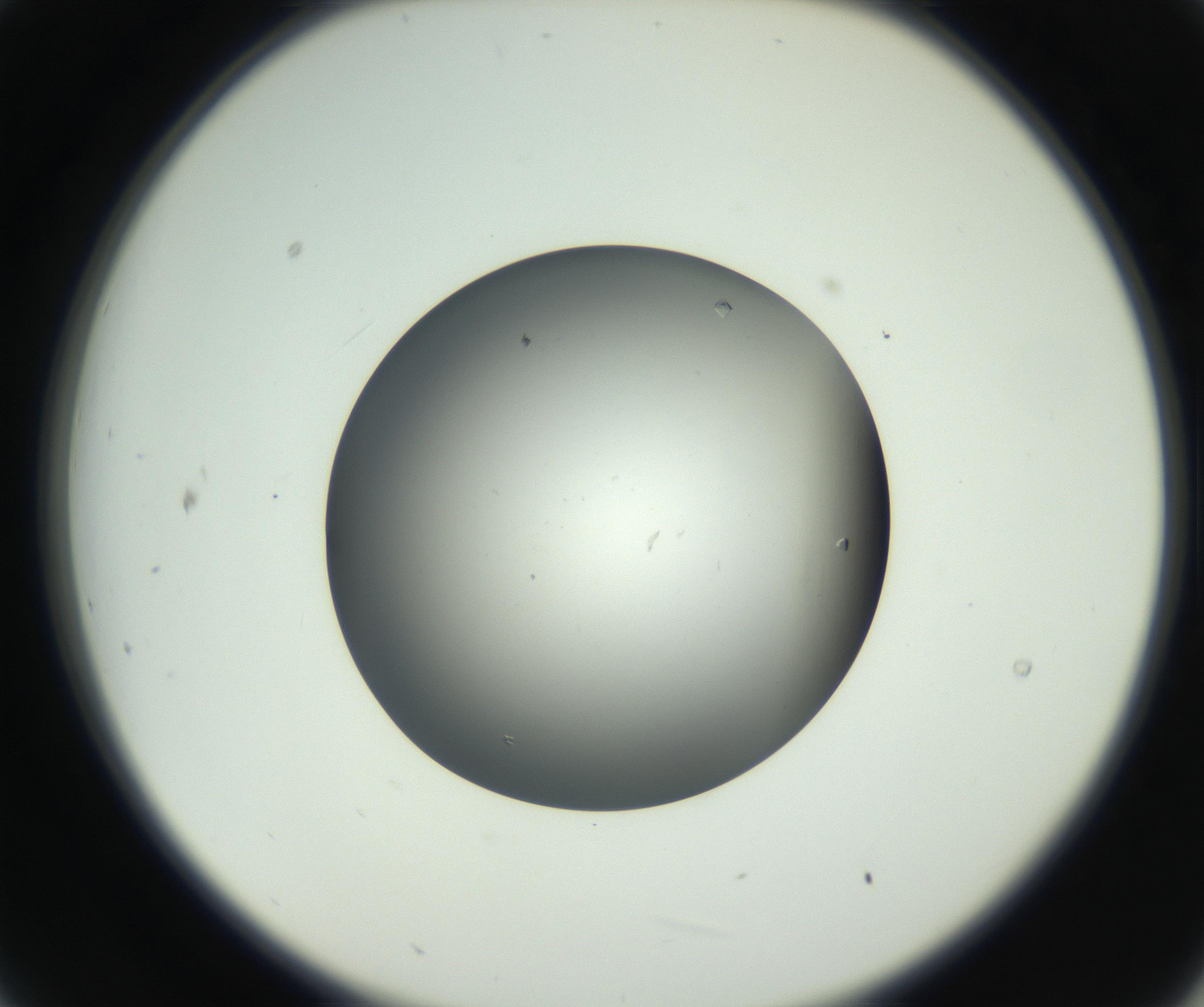 RI01_03_000_0212_Proj1_Clon1_MC_0000MC102719_003_160916_09_02_02_00_99_002_001_RAI.jpg