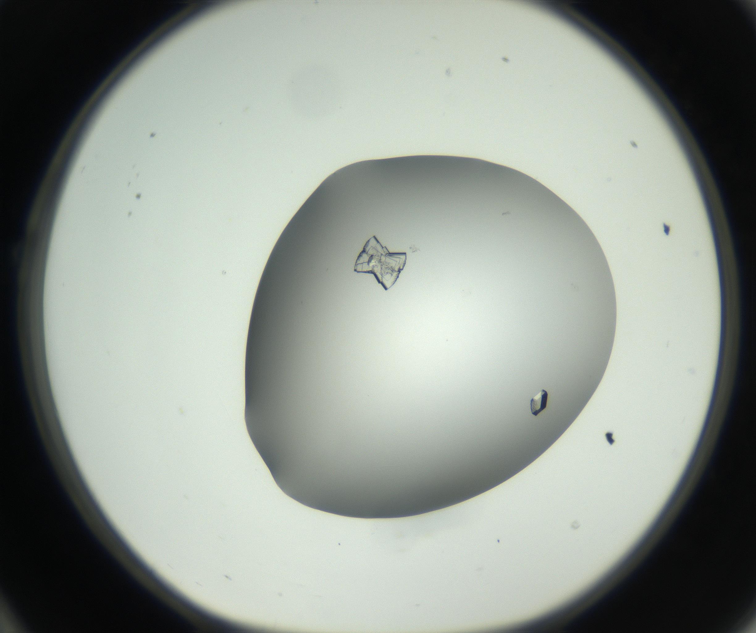 RI01_03_000_0212_Proj1_Clon1_MC_0000MC102723_002_160915_10_02_01_00_99_002_001_RAI.jpg