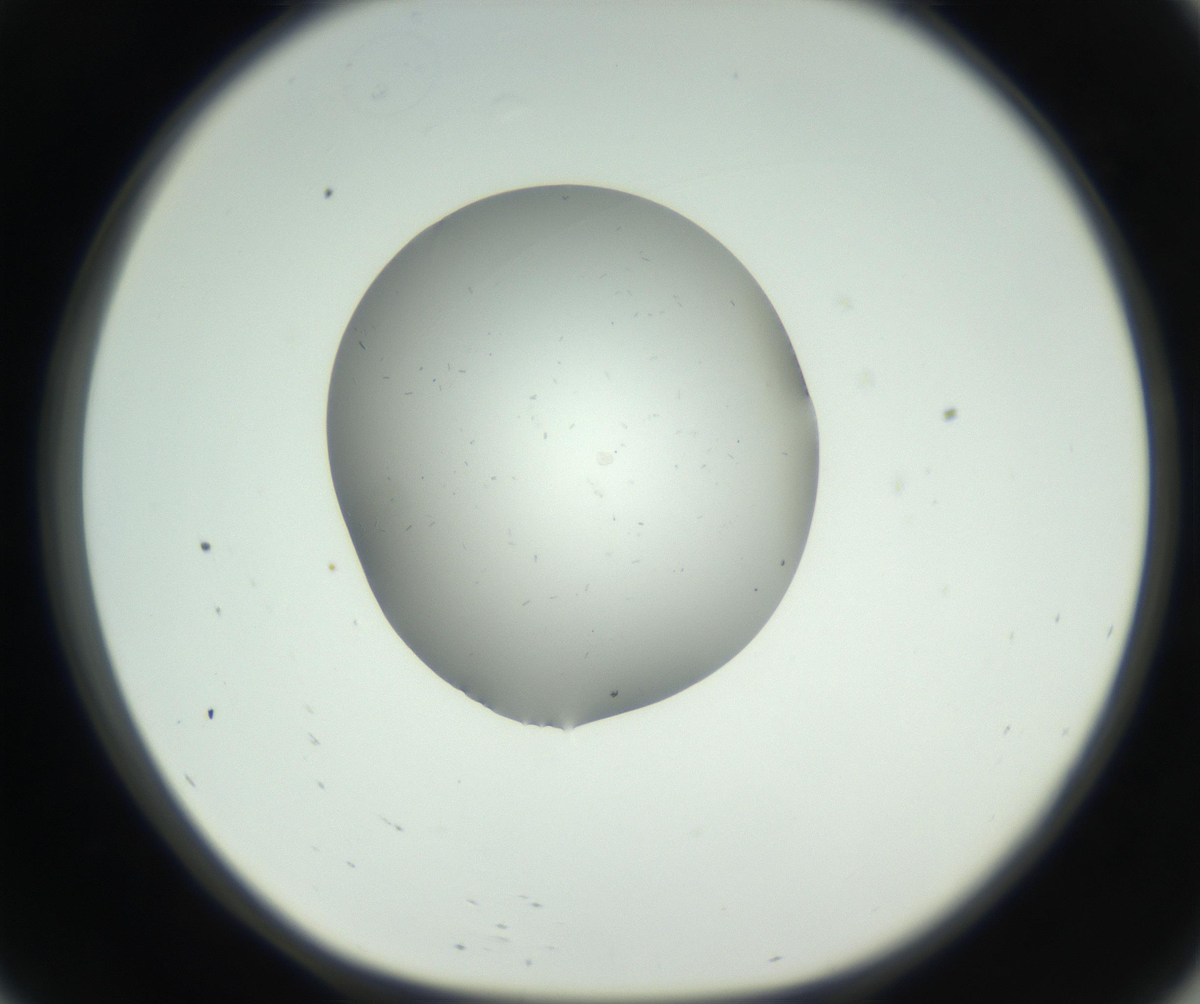 RI01_03_000_0212_Proj1_Clon1_MC_0000MC102724_002_160915_09_05_01_00_99_002_001_RAI.jpg