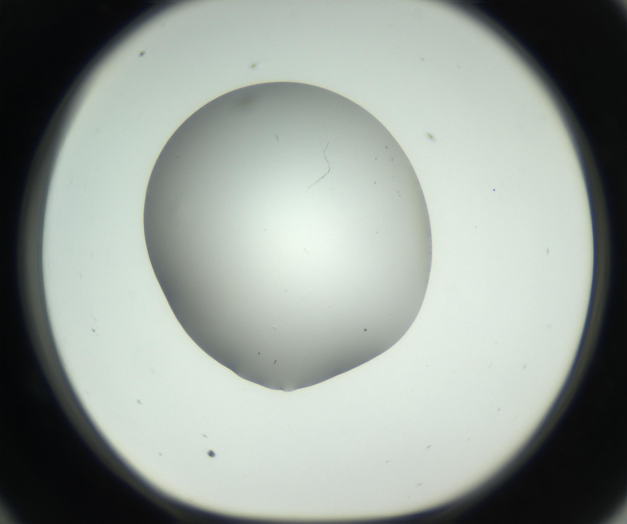 RI01_03_000_0212_Proj1_Clon1_MC_0000MC102724_002_160915_10_05_01_00_99_002_001_RAI.jpg