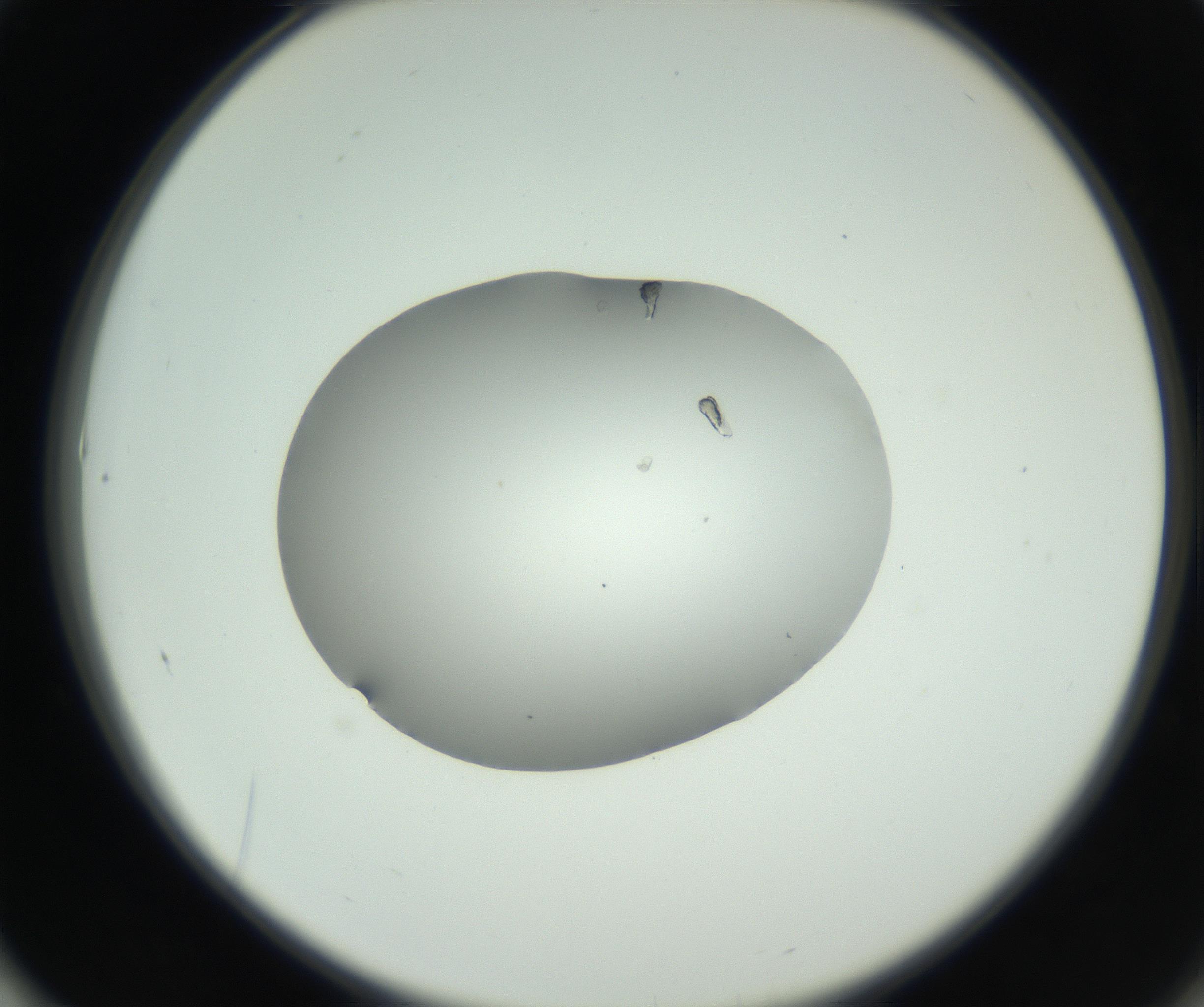 RI01_03_000_0212_Proj1_Clon1_MC_0000MC102724_003_160917_01_06_02_00_99_002_001_RAI.jpg
