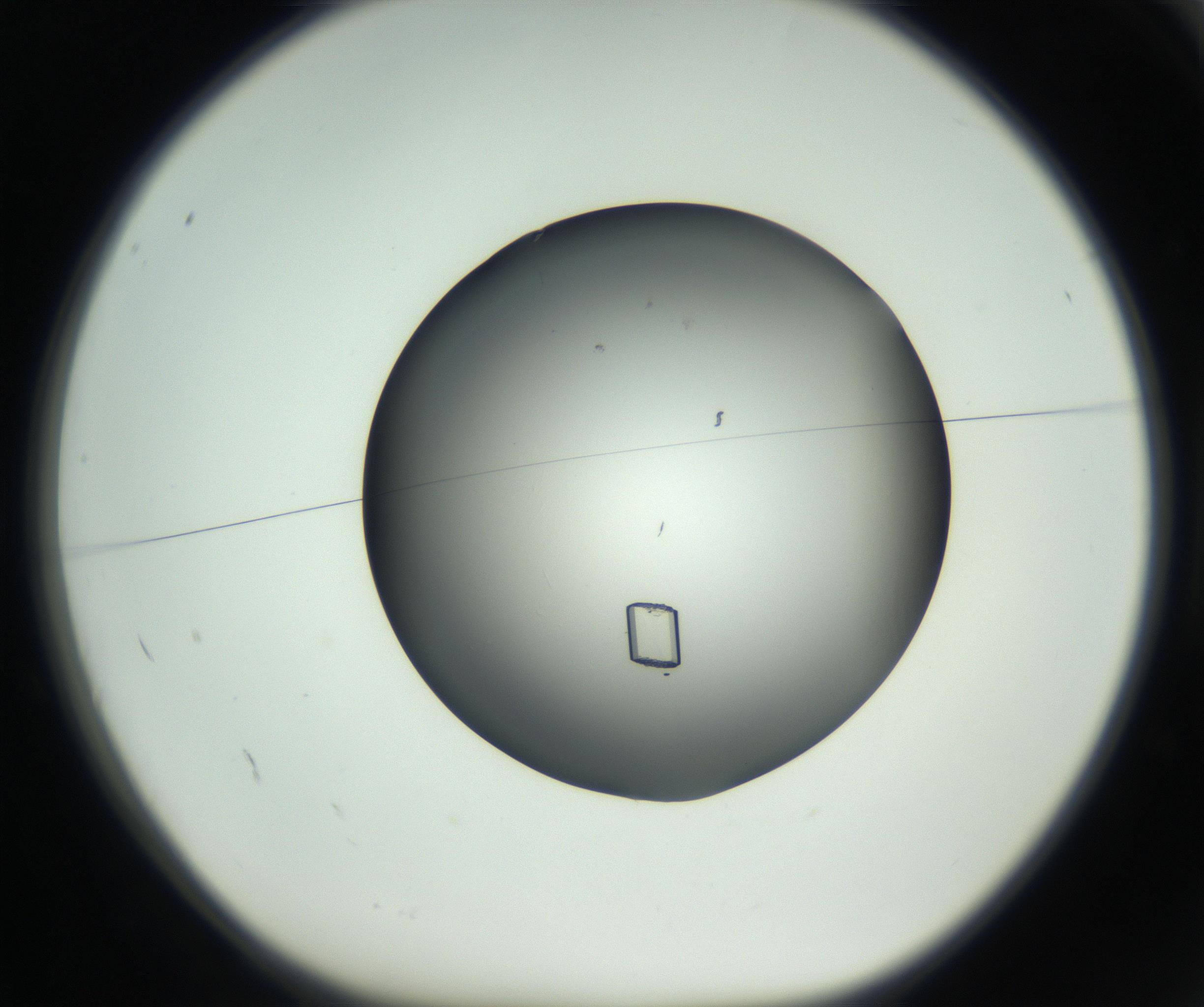 RI01_03_000_0212_Proj1_Clon1_MC_0000MC102725_002_160915_02_01_01_00_99_002_001_RAI.jpg