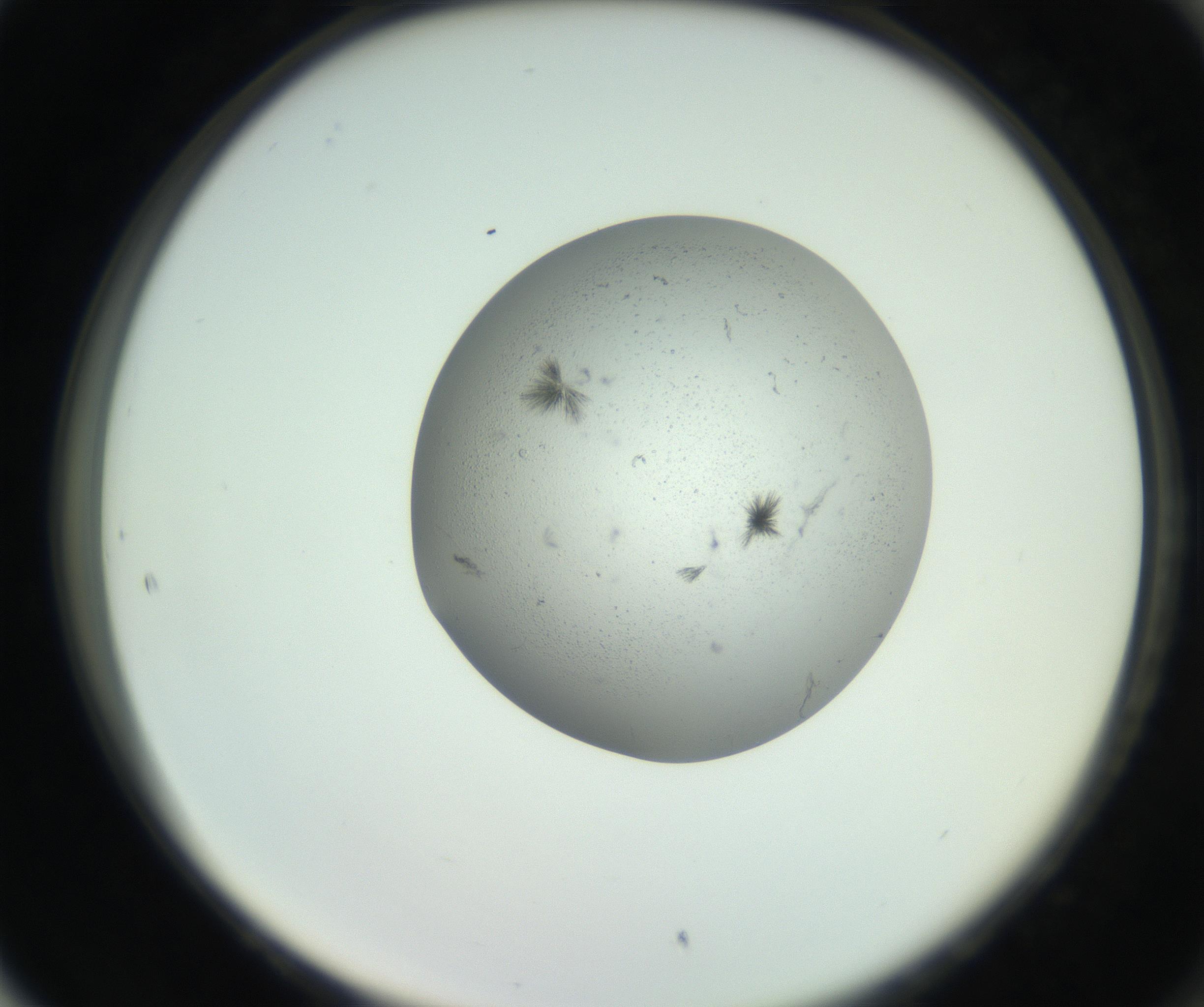 RI01_03_000_0212_Proj1_Clon1_MC_0000MC102726_006_160924_05_08_02_00_99_002_001_RAI.jpg