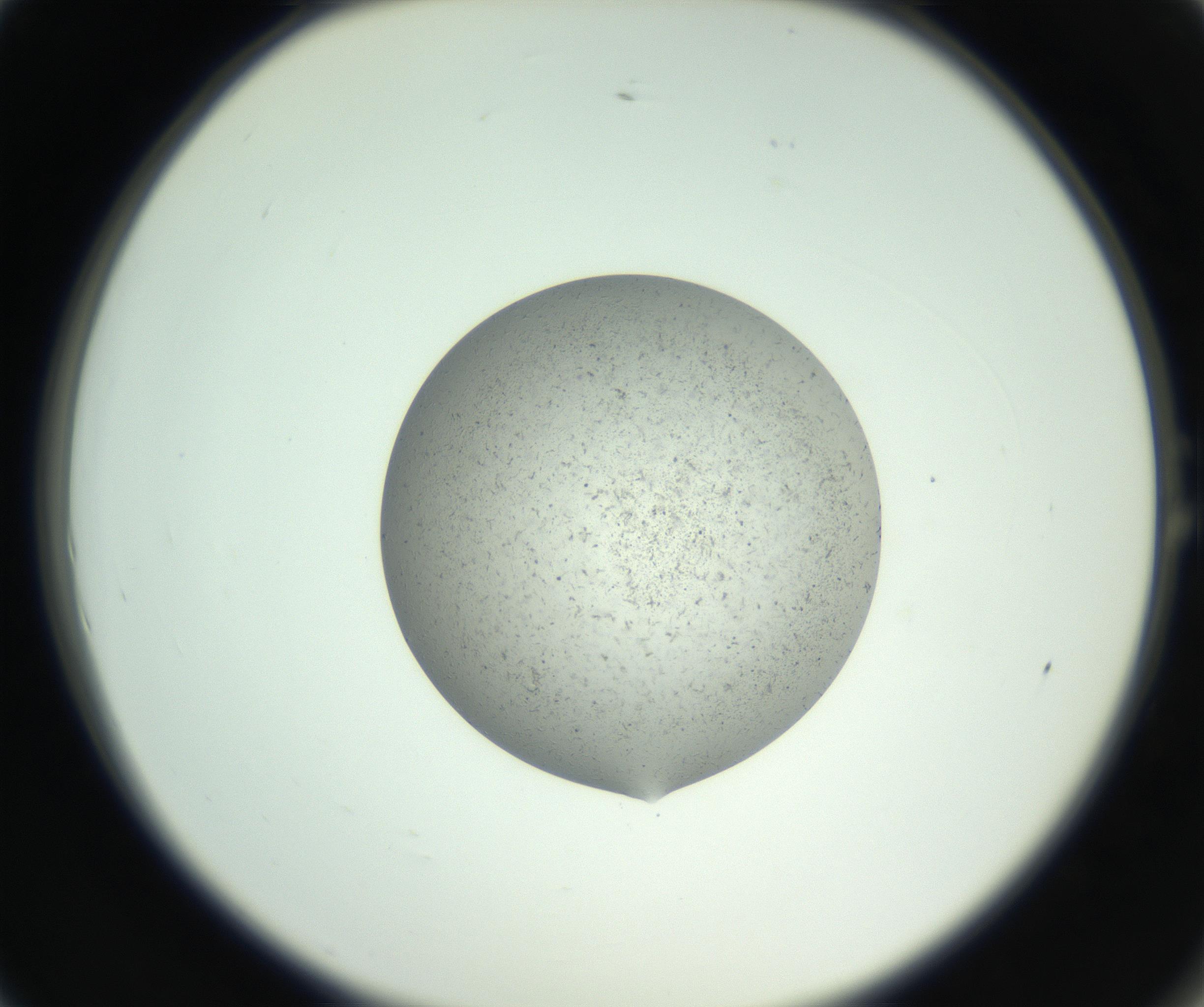 RI01_03_000_0212_Proj1_Clon1_MC_0000MC102726_008_161005_01_01_02_00_99_002_001_RAI.jpg