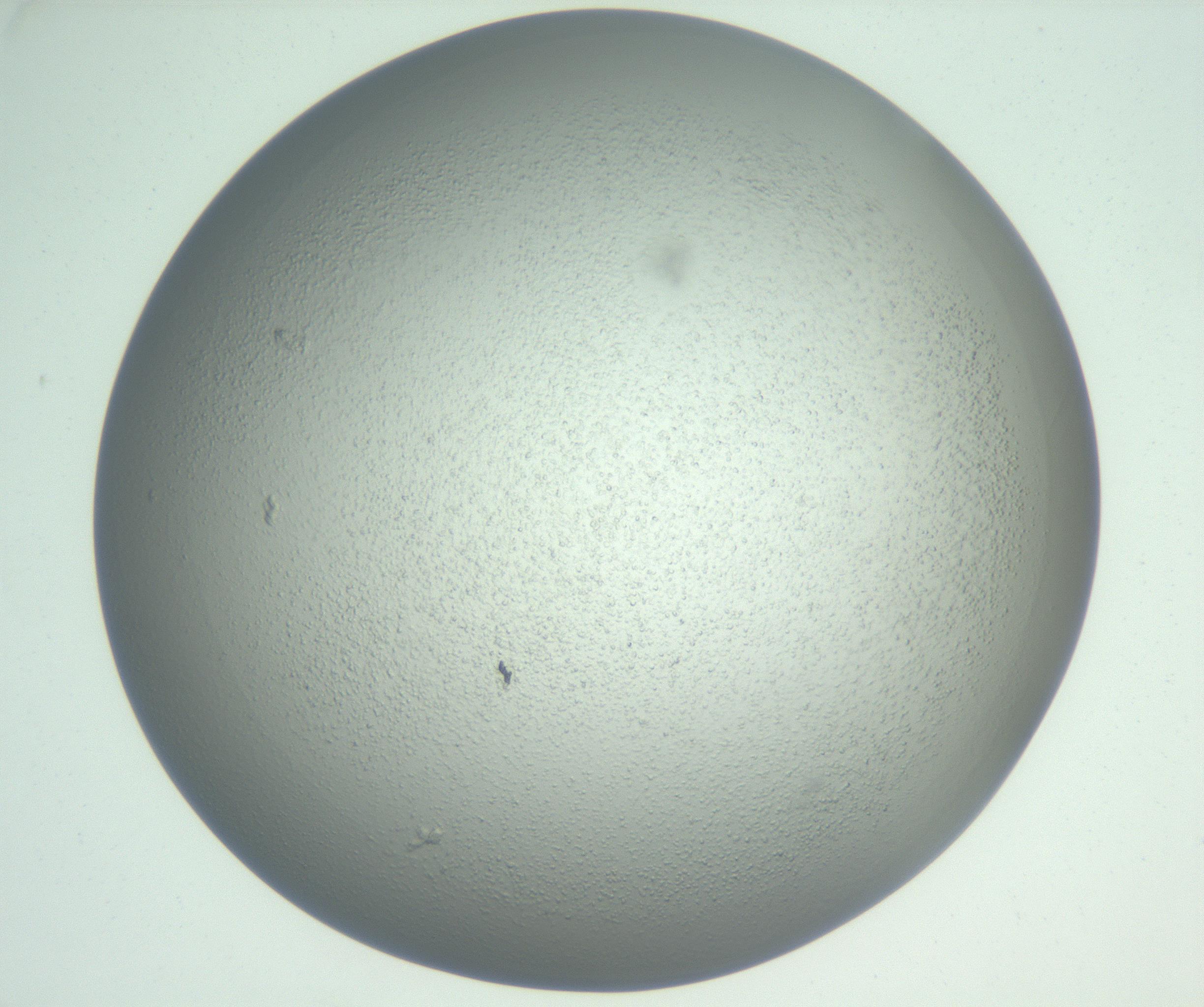 RI01_03_000_0212_Proj1_Clon1_MC_0000MC102727_010_161020_05_06_01_00_99_002_001_RAI.jpg