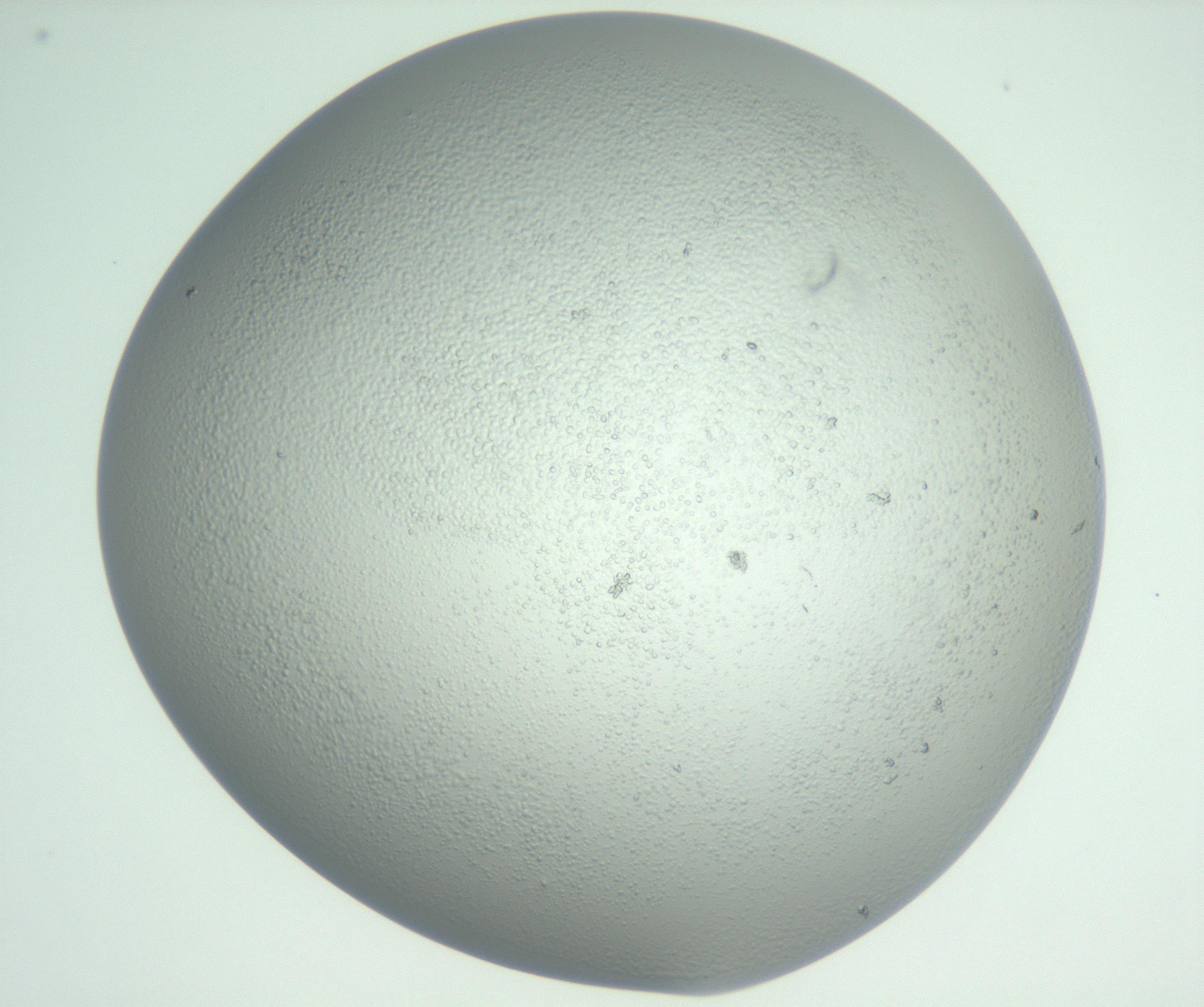 RI01_03_000_0212_Proj1_Clon1_MC_0000MC102727_010_161020_06_05_01_00_99_002_001_RAI.jpg