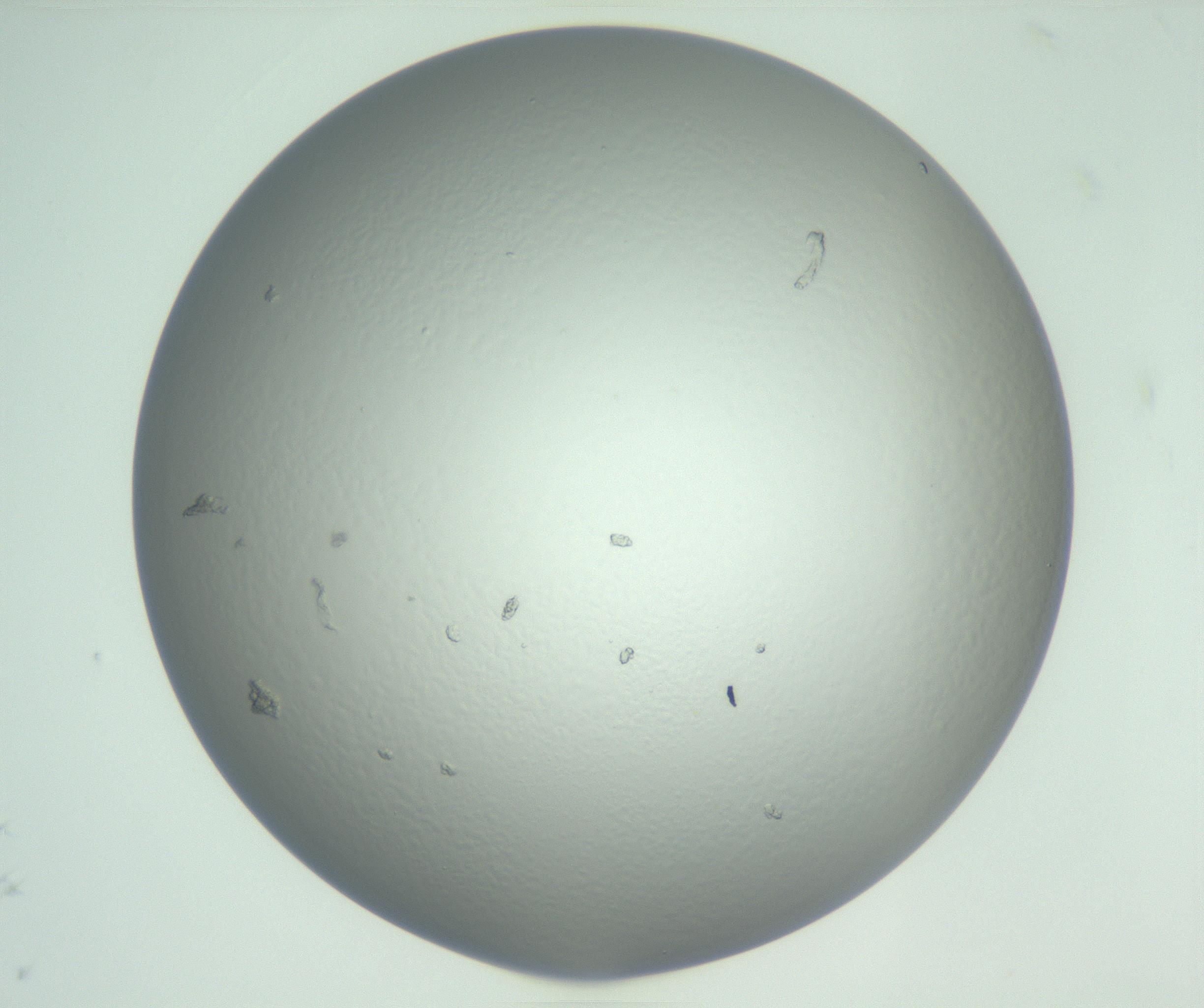 RI01_03_000_0212_Proj1_Clon1_MC_0000MC102727_010_161020_09_05_01_00_99_002_001_RAI.jpg