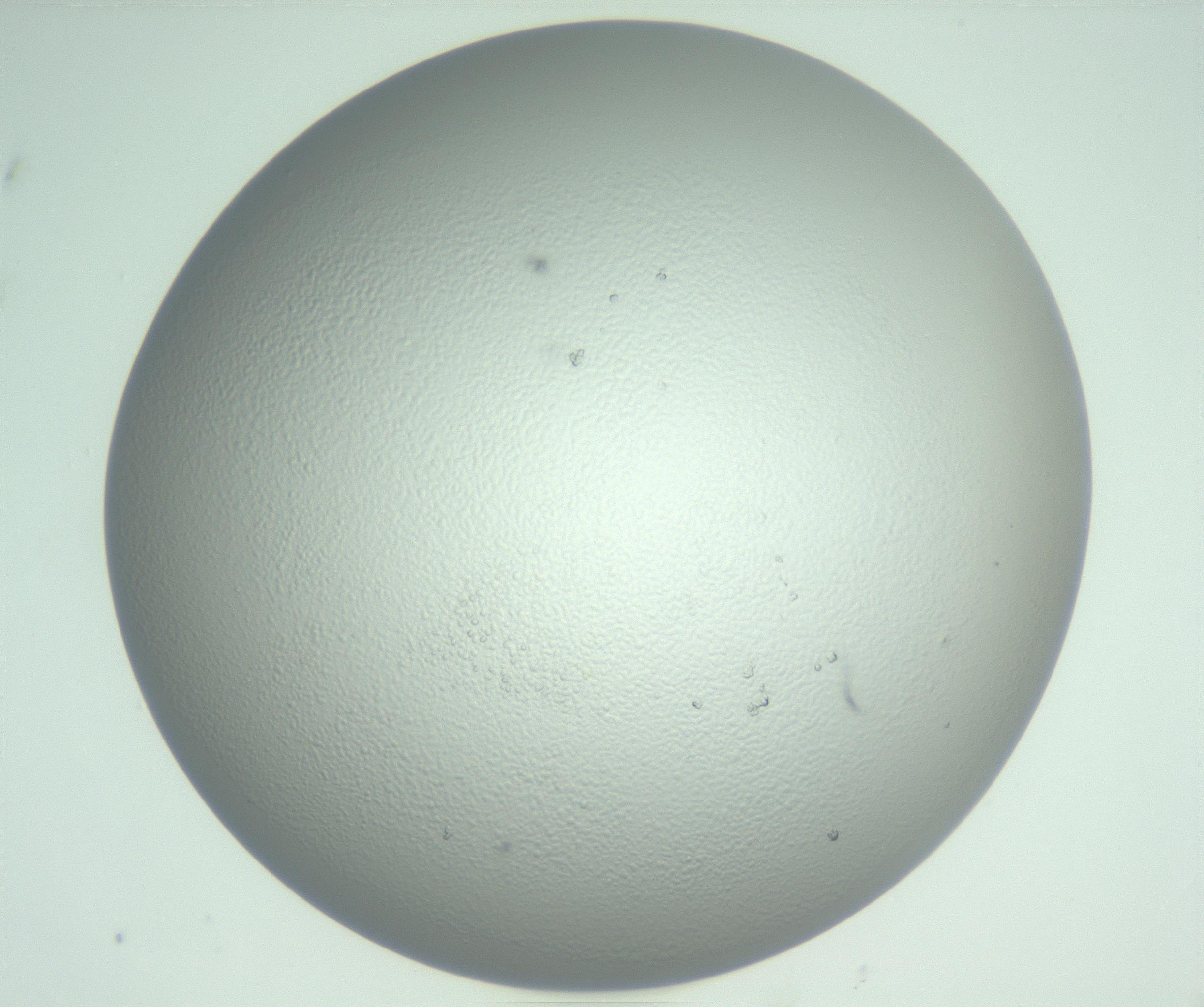 RI01_03_000_0212_Proj1_Clon1_MC_0000MC102727_013_161109_07_05_01_00_99_002_001_RAI.jpg