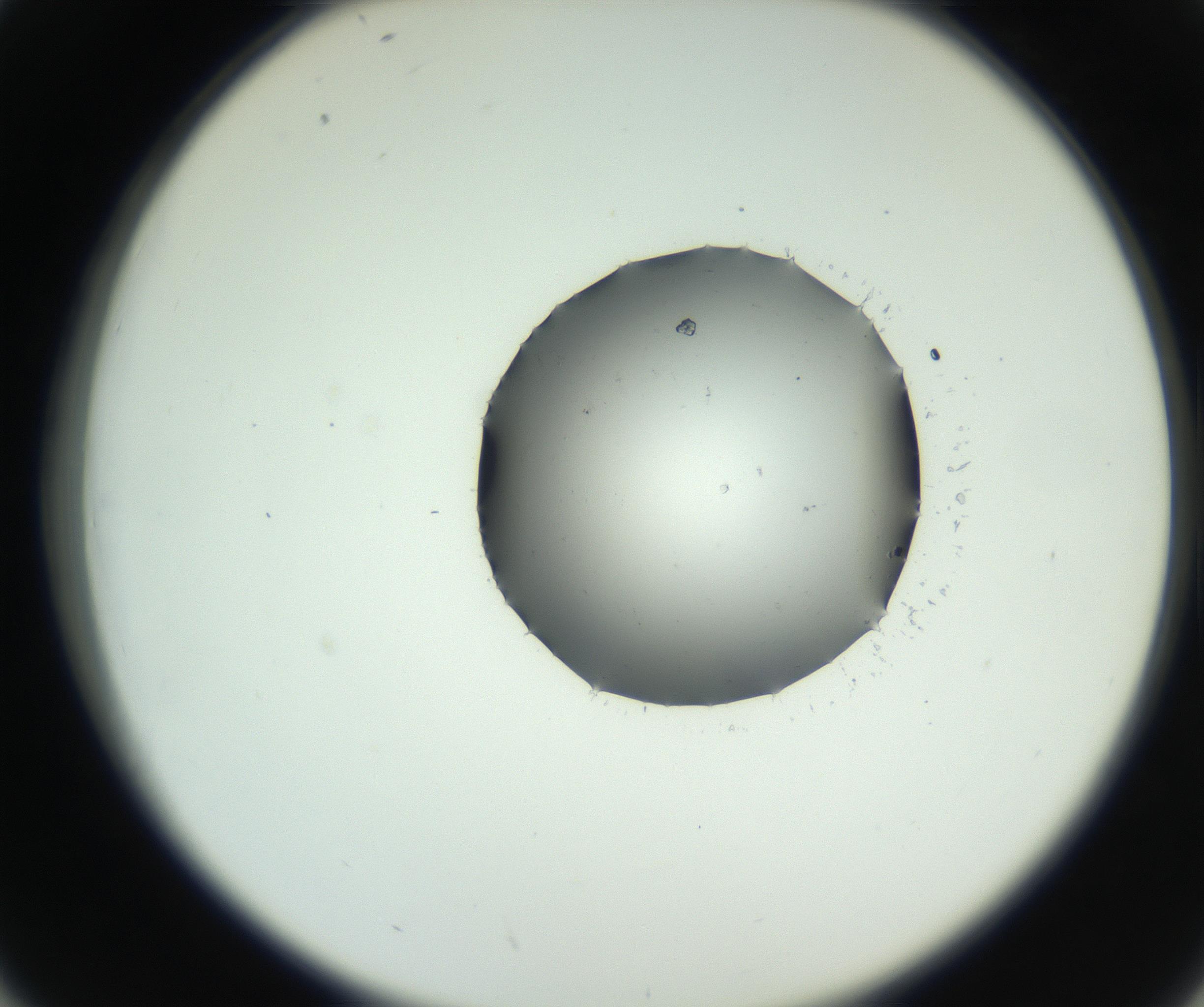 RI01_03_000_0212_Proj1_Clon1_MC_0000MC102728_002_160916_02_04_02_00_99_002_001_RAI.jpg