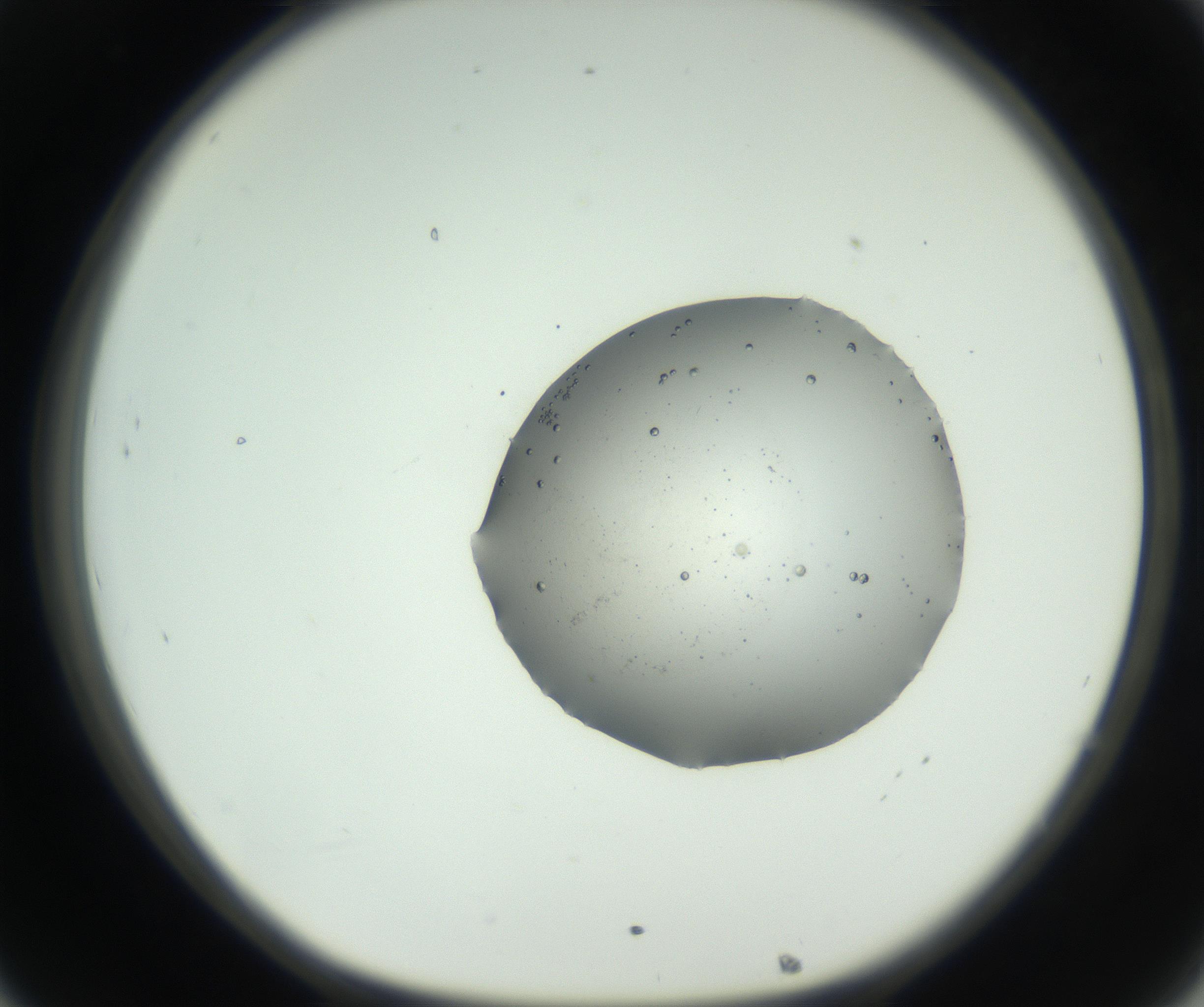 RI01_03_000_0212_Proj1_Clon1_MC_0000MC102728_002_160916_08_03_01_00_99_002_001_RAI.jpg