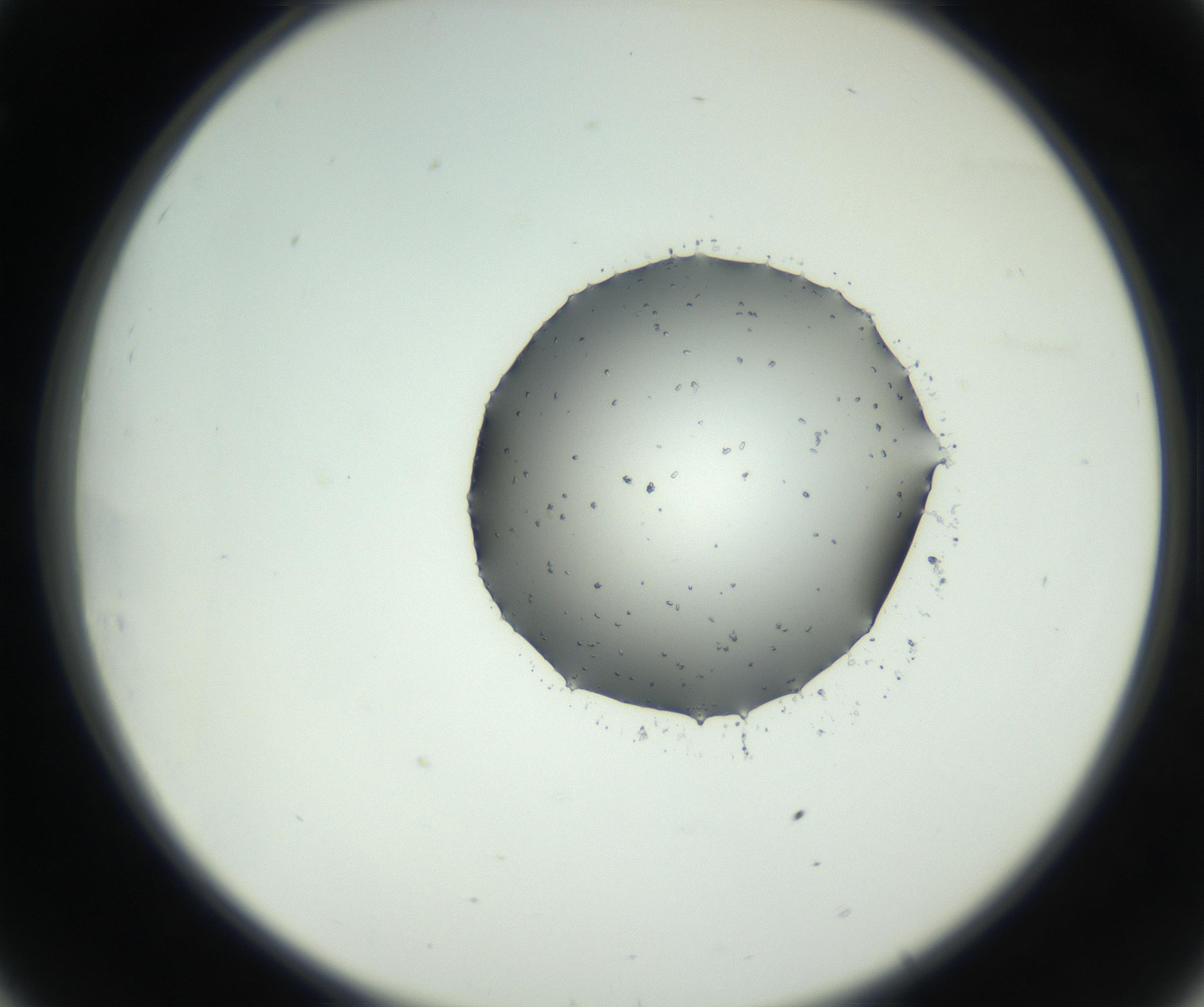RI01_03_000_0212_Proj1_Clon1_MC_0000MC102728_002_160916_08_03_02_00_99_002_001_RAI.jpg