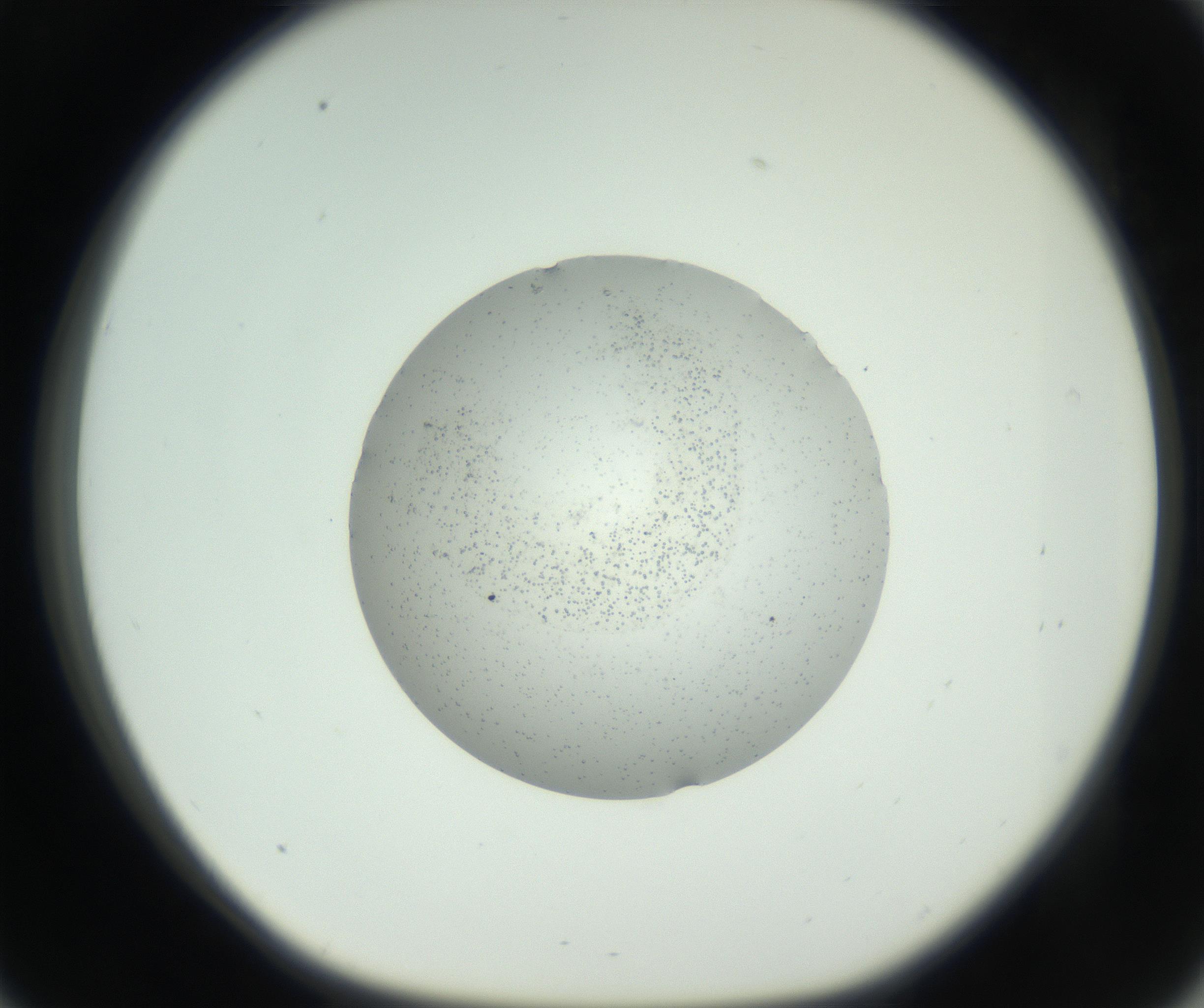 RI01_03_000_0212_Proj1_Clon1_MC_0000MC102728_002_160916_09_03_01_00_99_002_001_RAI.jpg