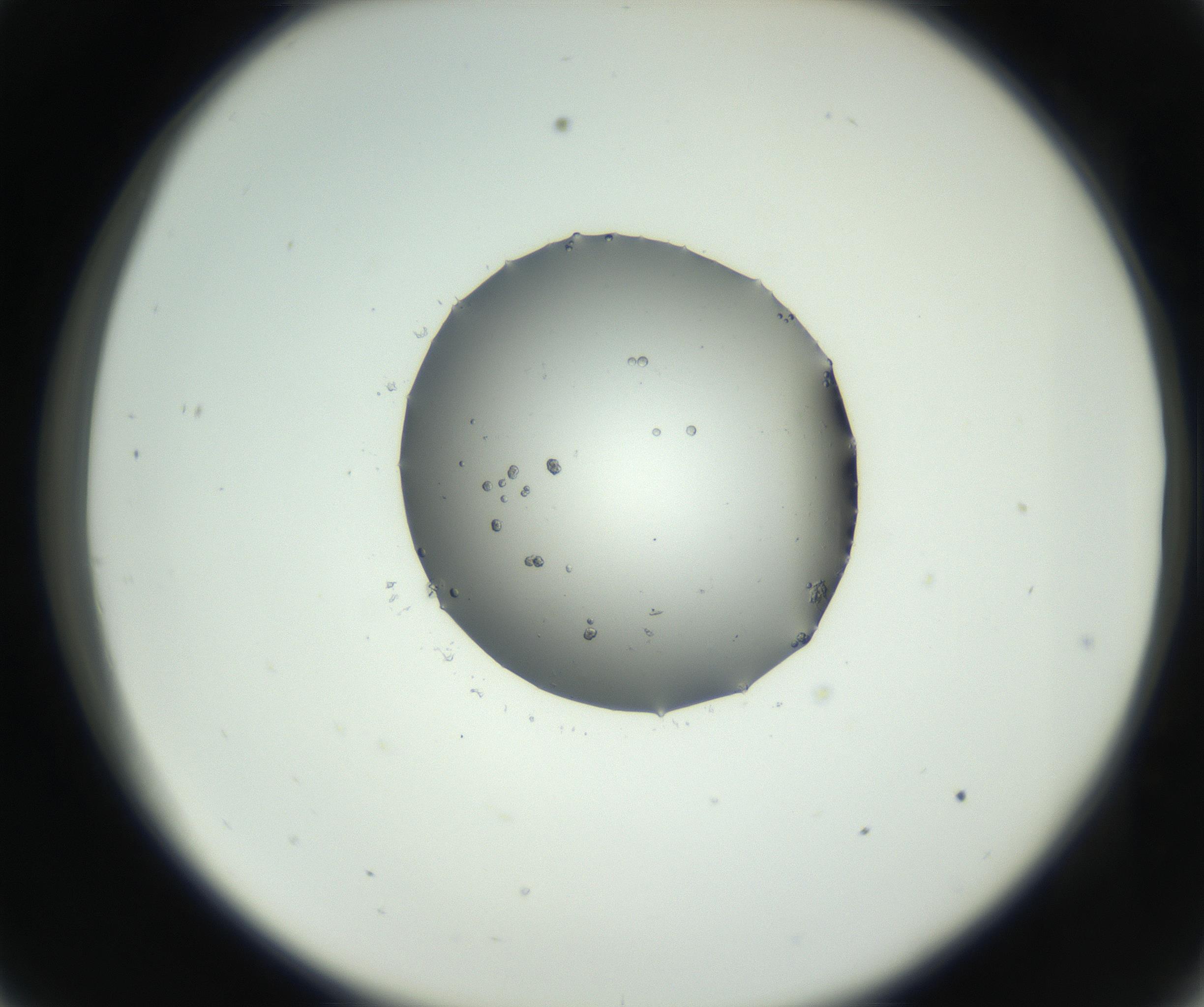 RI01_03_000_0212_Proj1_Clon1_MC_0000MC102728_002_160916_09_03_02_00_99_002_001_RAI.jpg