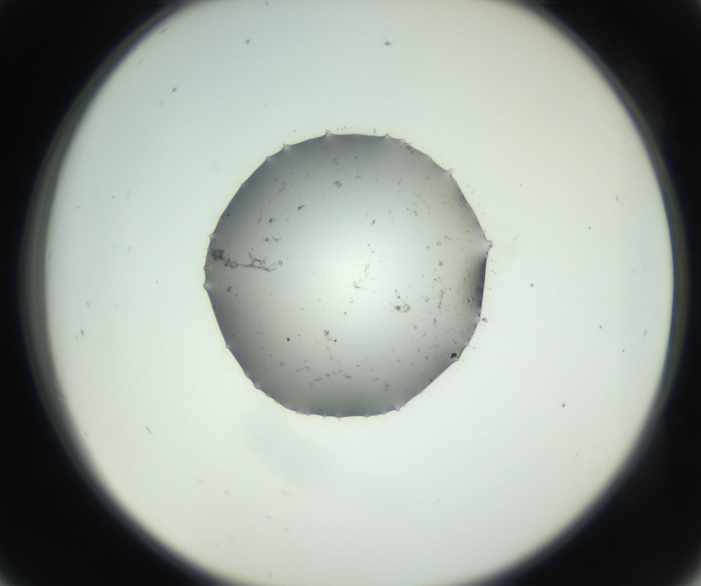 RI01_03_000_0212_Proj1_Clon1_MC_0000MC102728_002_160916_09_04_02_00_99_002_001_RAI.jpg