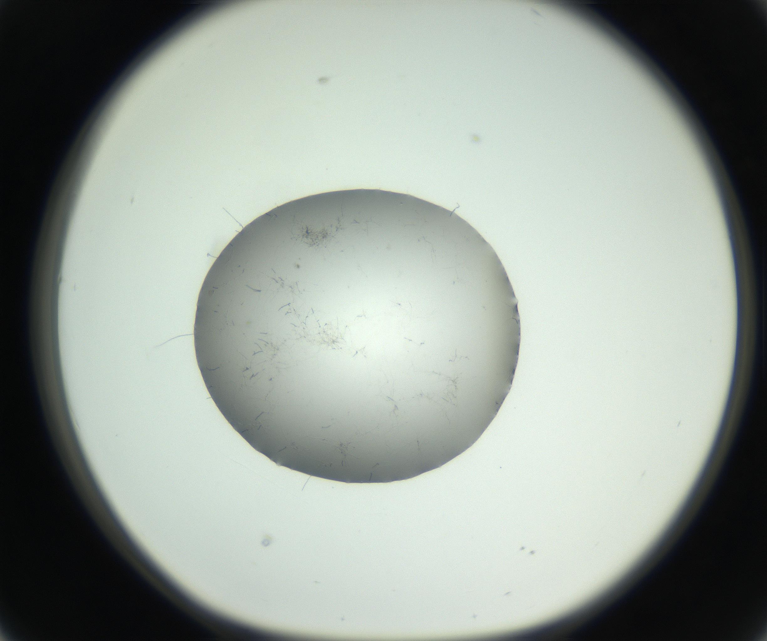 RI01_03_000_0212_Proj1_Clon1_MC_0000MC102728_006_160925_02_04_01_00_99_002_001_RAI.jpg