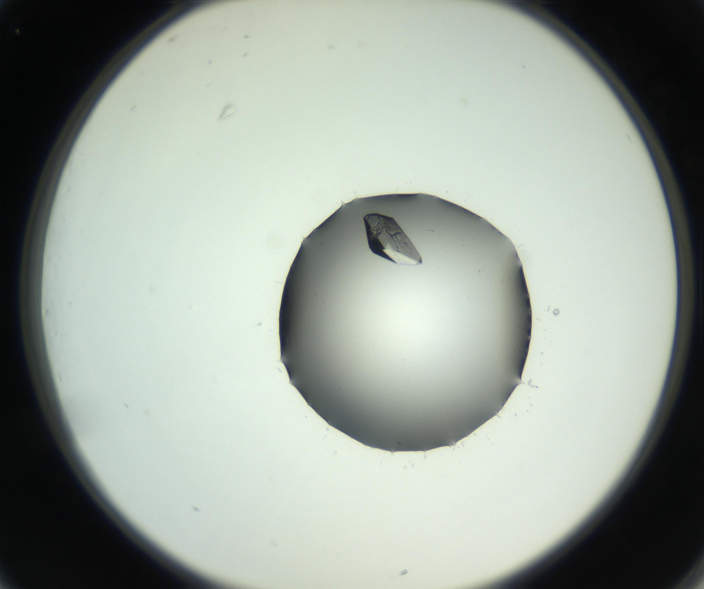 RI01_03_000_0212_Proj1_Clon1_MC_0000MC102728_007_160929_01_03_02_00_99_002_001_RAI.jpg
