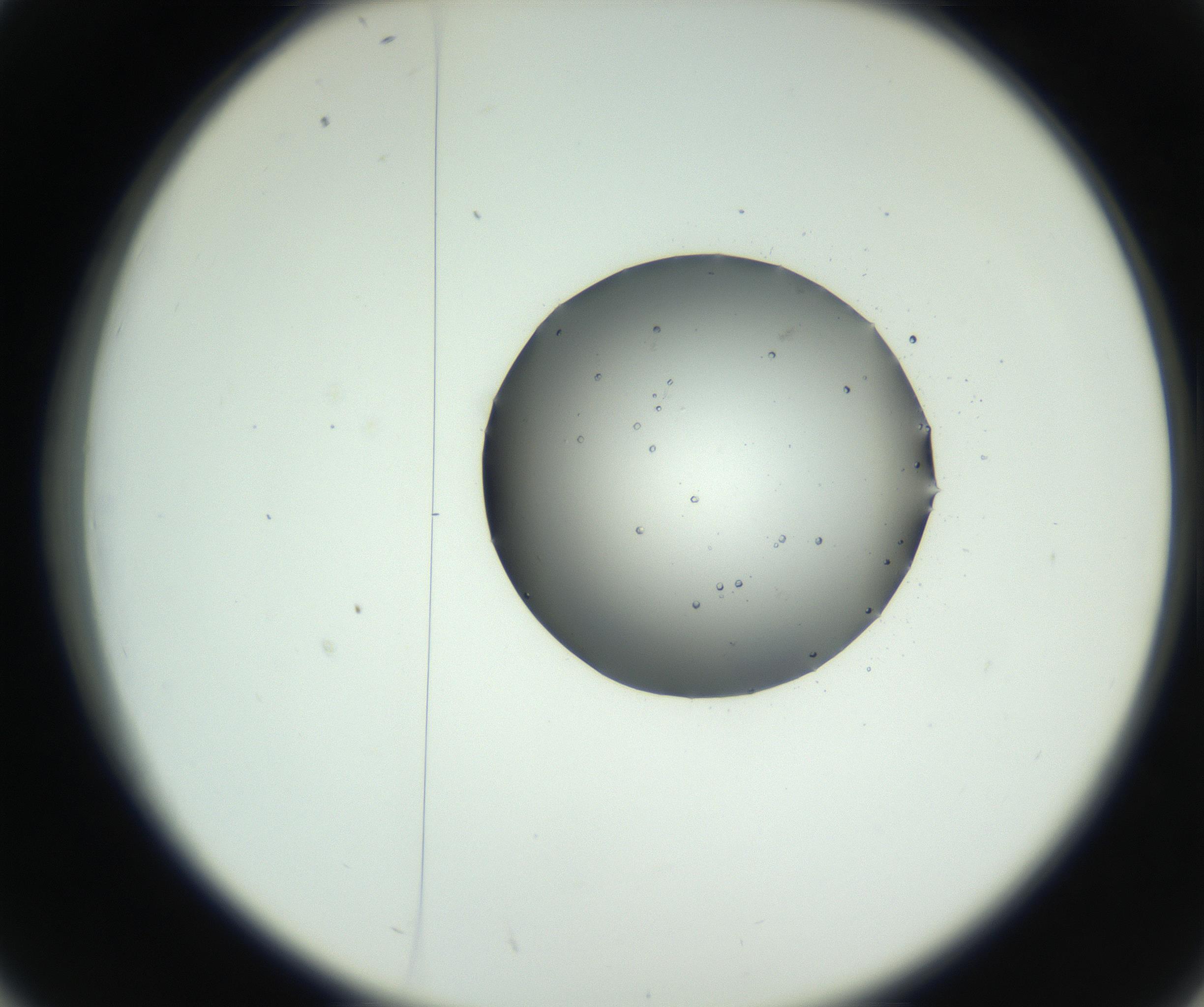 RI01_03_000_0212_Proj1_Clon1_MC_0000MC102729_002_160916_02_04_02_00_99_002_001_RAI.jpg
